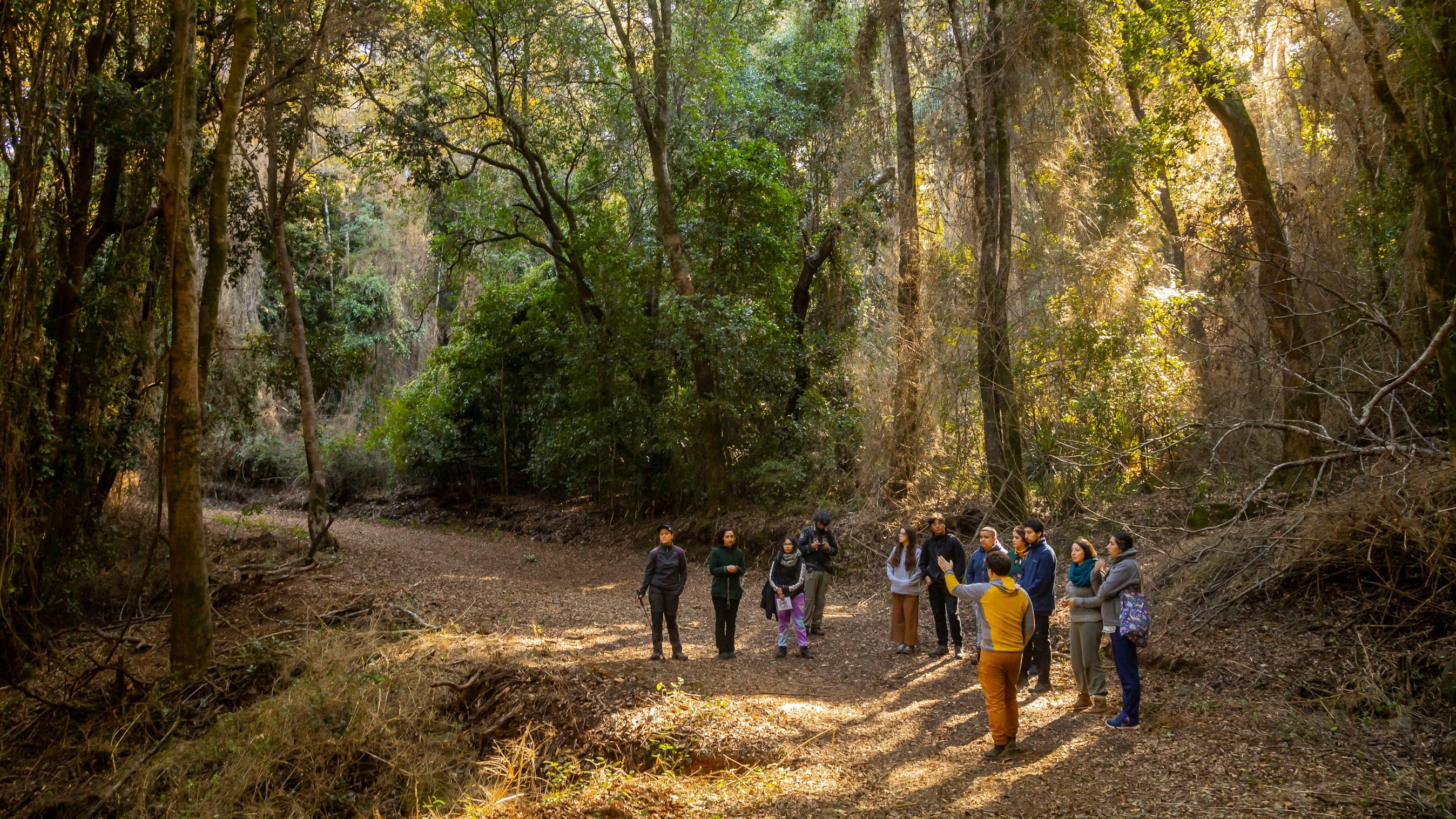 Campus Naturaleza UdeC: Innovador proyecto de conservación de biodiversidad será abierto para la comunidad