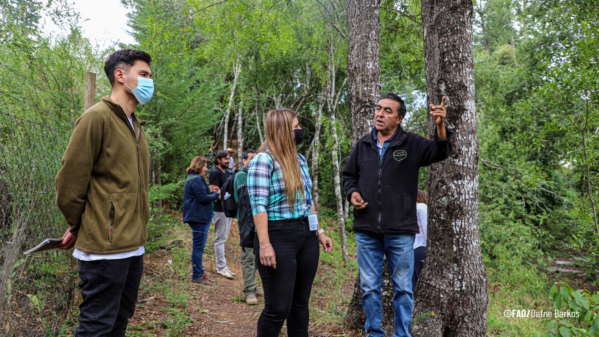 Empieza convocatoria para recuperación de bosques nativos en el Biobío