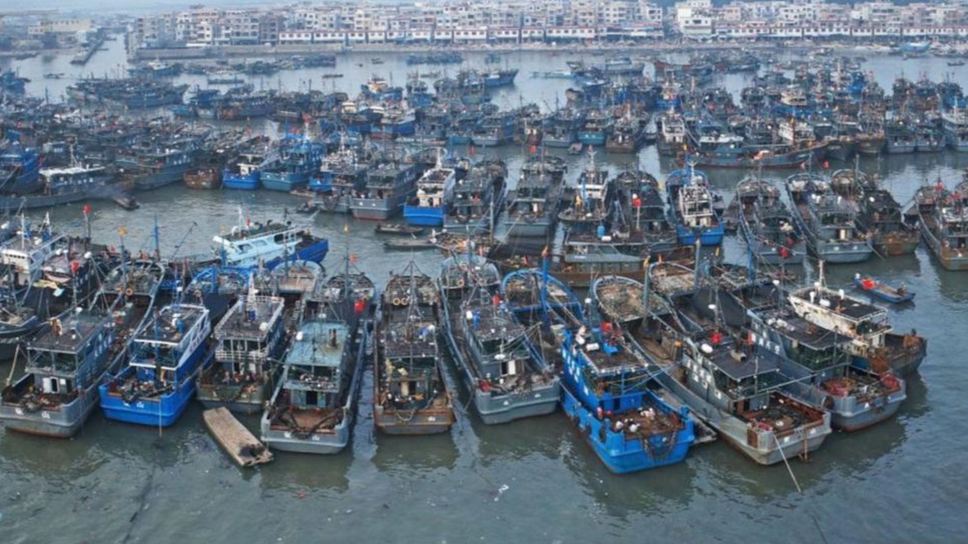 Vigilando en alerta: Armada y Sernapesca monitorean 350 naves chinas que están en zona chilena