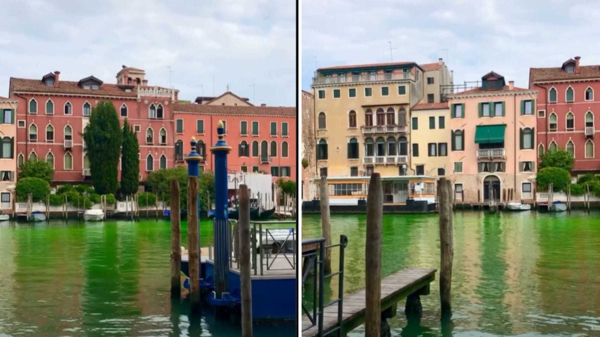 Incertidumbre en Italia: El agua del Canal de Venecia amaneció teñida de un verde resplandeciente