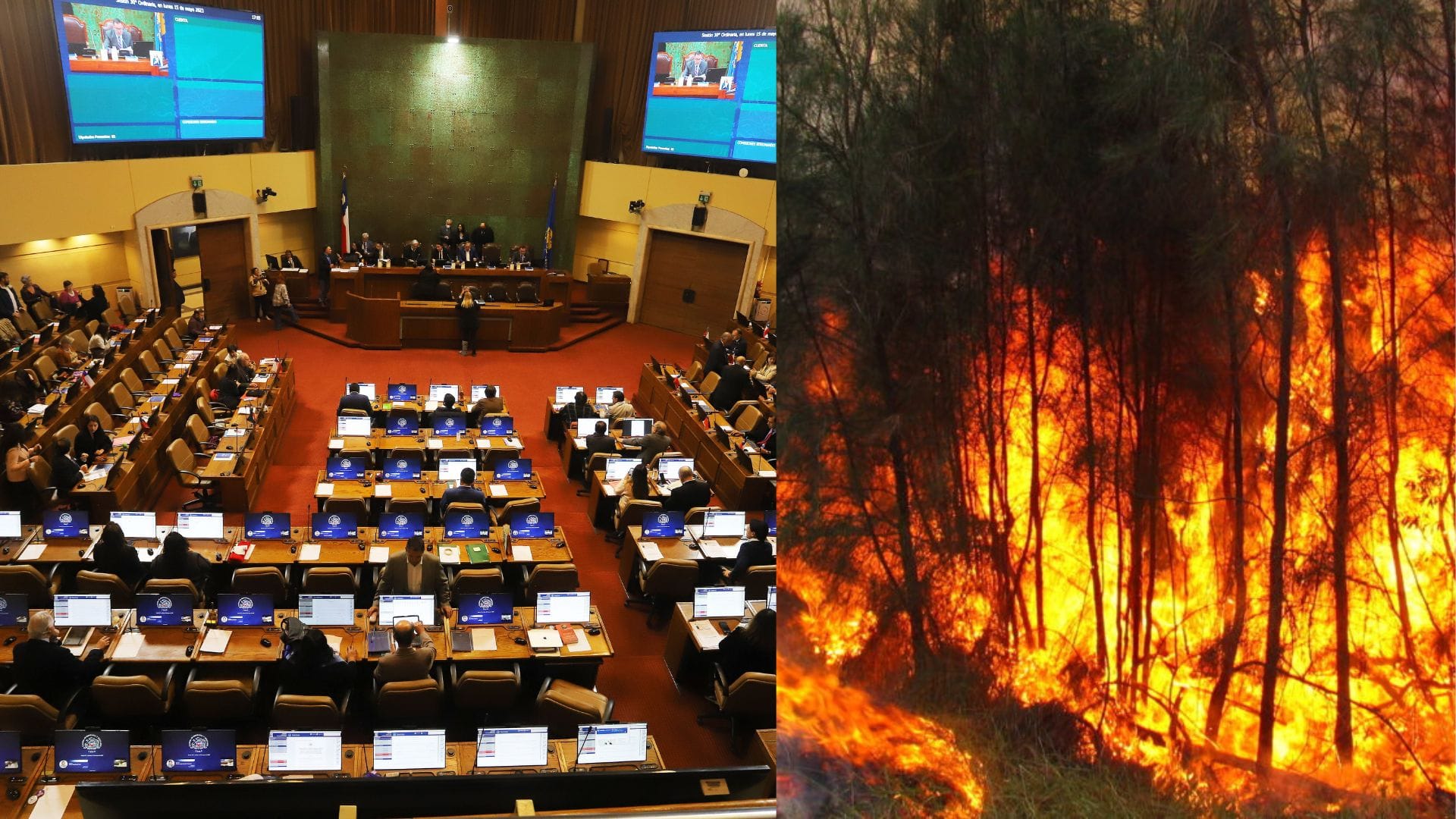 Editorial: Diputados tiene una buena oportunidad para demostrar que comisiones investigadoras sirven de algo