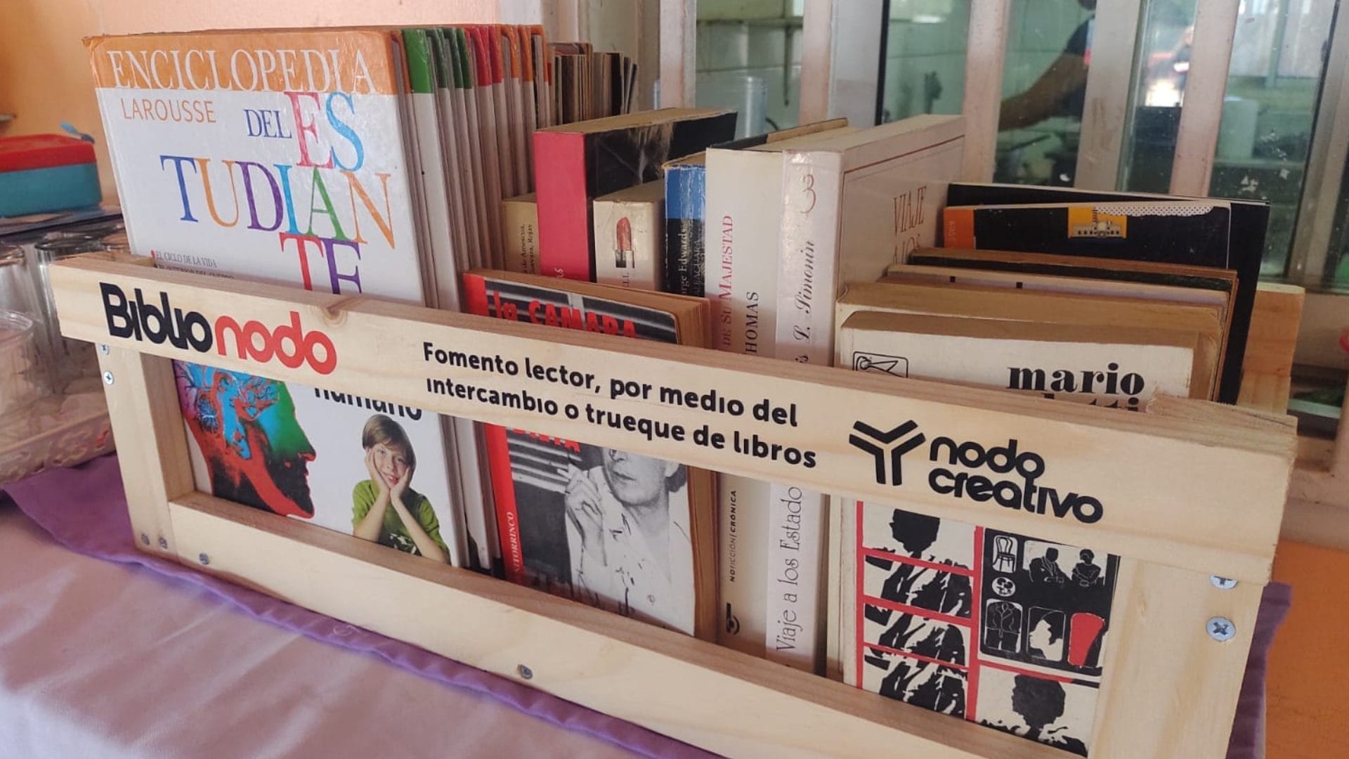 Fiesta del Libro Regional: Inaugurarán “biblionodo” en San Pedro de la Paz