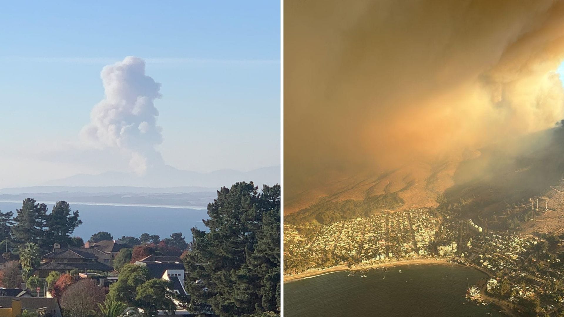 Van 380 hectáreas consumidas: La dificultad de 6 helicópteros que tratan de combatir incendio desatado en Zapallar-Papudo