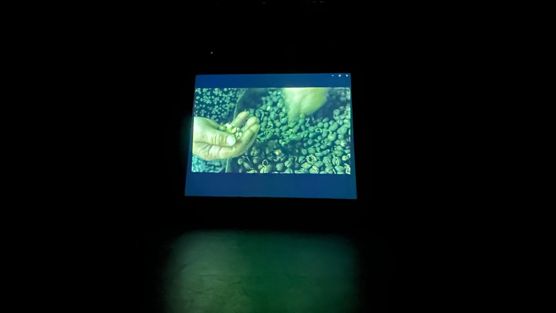Proyecto documental busca revalorizar prácticas de recolección en el Biobío y Tarapacá