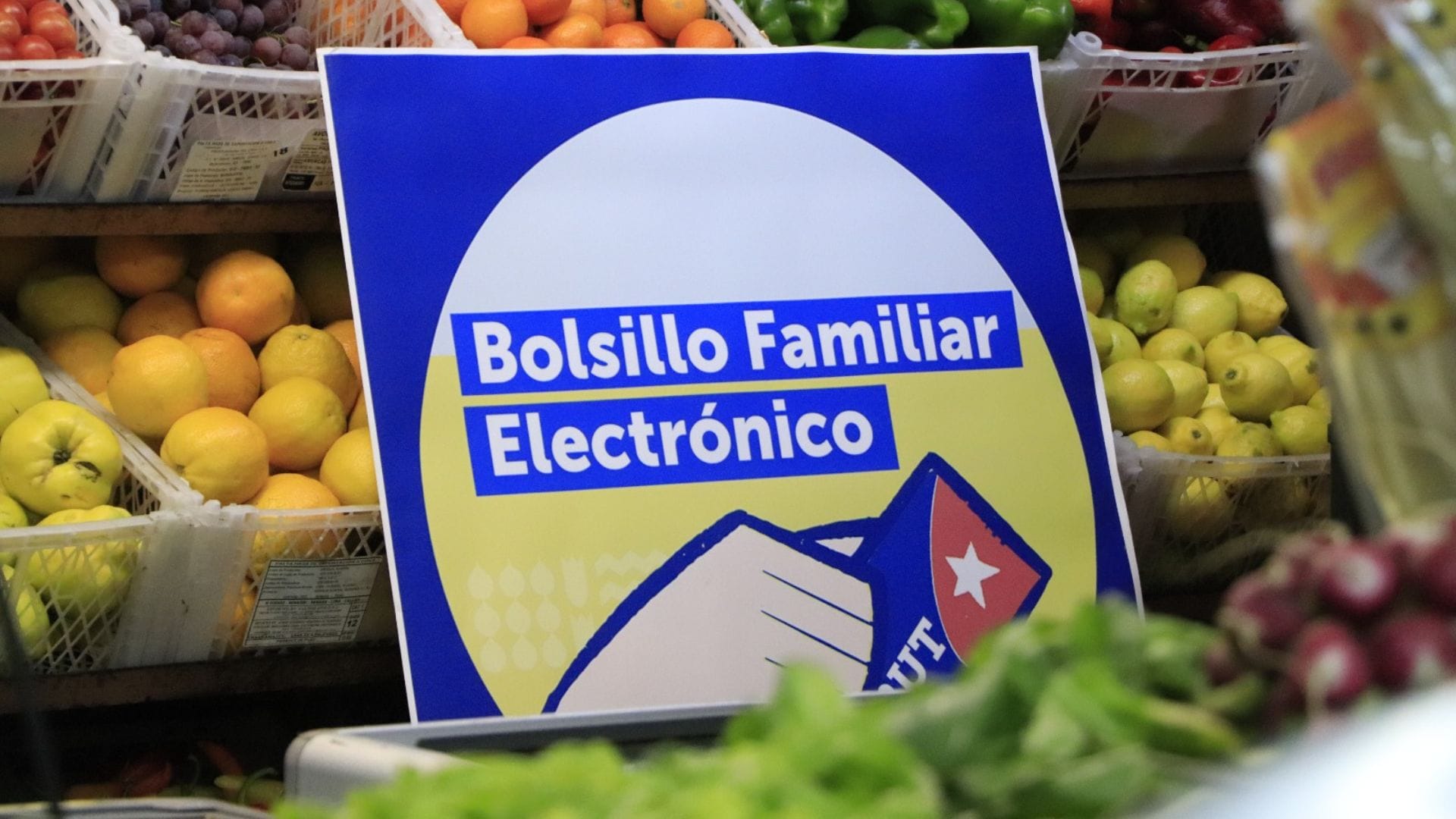 Bolsillo Familiar Electrónico se acerca a cumplir un mes desde su puesta en marcha