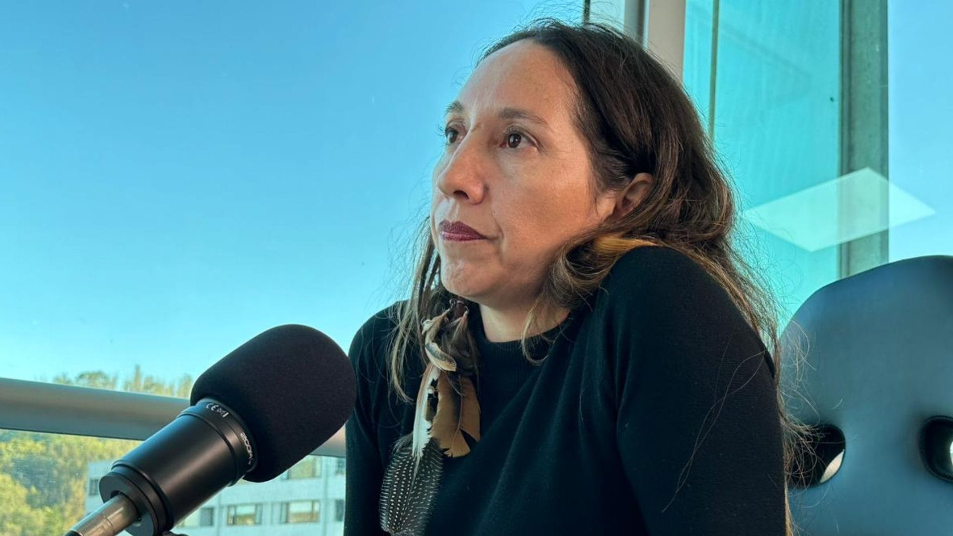 “En casos así hay protocolos que tratan de evitar las salidas”: Directora Nacional de Mejor Niñez por adolescente que se fugó y murió en San Pedro de la Paz