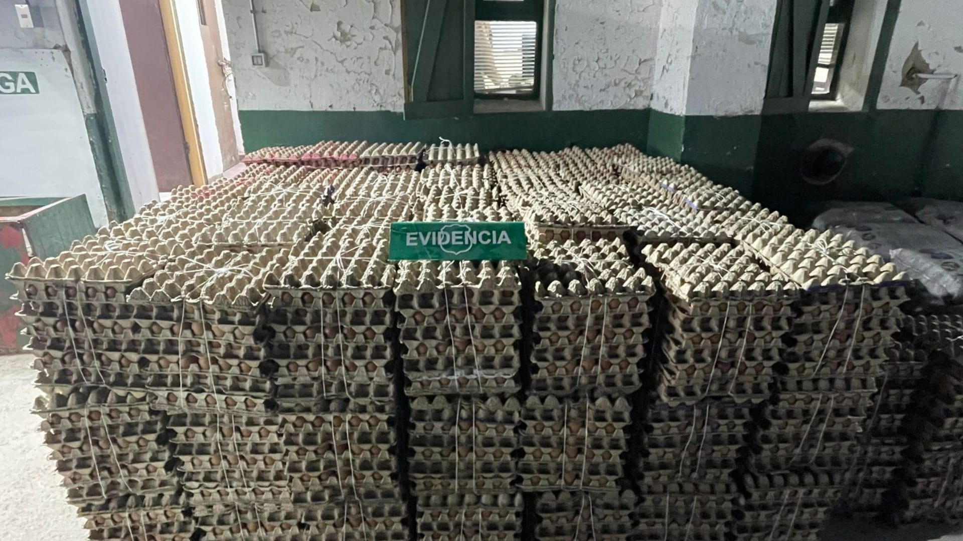 Sujeto intentó sobornar a Carabineros con $70 mil en Chinchillane: Llevaba 23 mil huevos de contrabando