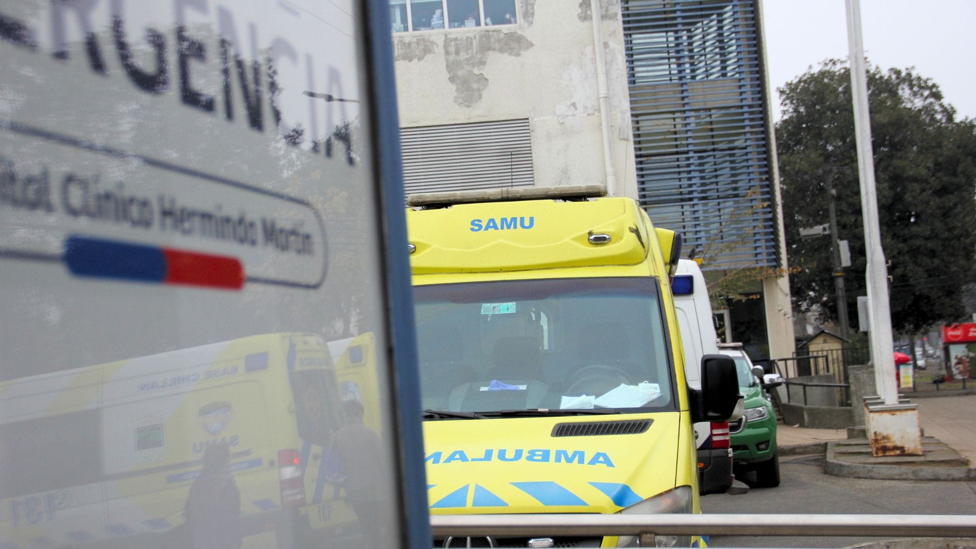 Seremi de la Mujer de Ñuble denunció por violencia intrafamiliar a su expareja que la acusó de intento de aborto