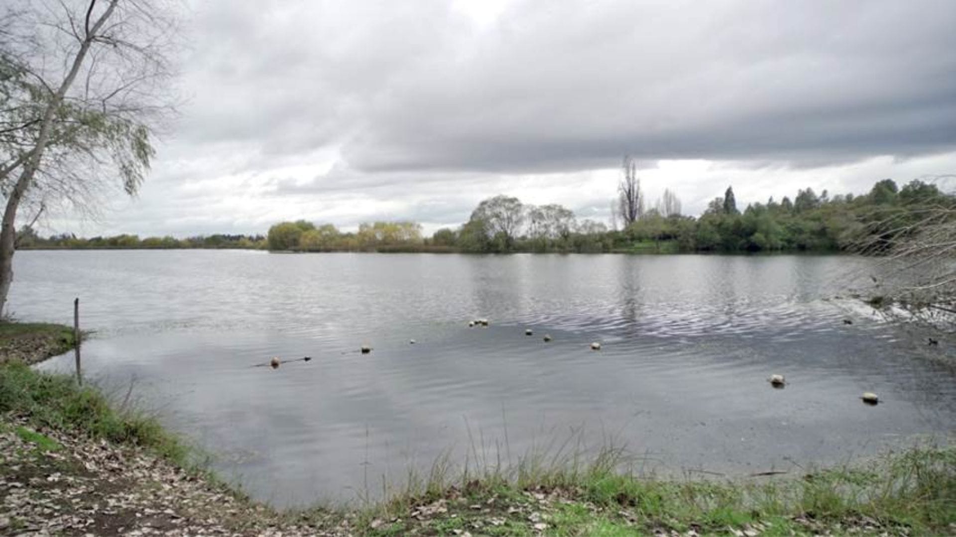 Ñuble podría tener un cuarto Santuario de la Naturaleza