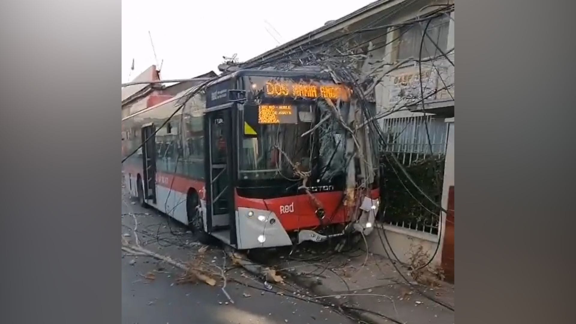 Auto no respetó ‘ceda el paso’ y provocó fatal accidente: Mujer murió atropellada por bus del transporte público en Santiago