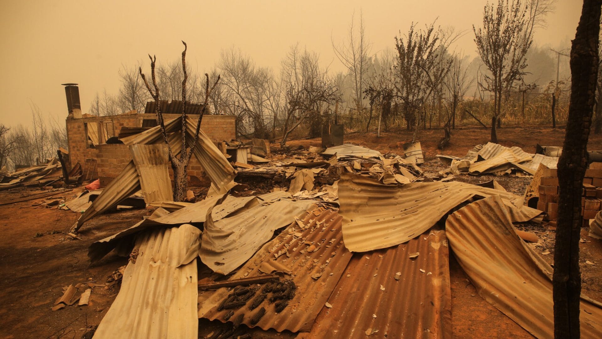 Editorial: ¿Estamos bien preparados para una nueva temporada de incendios forestales?