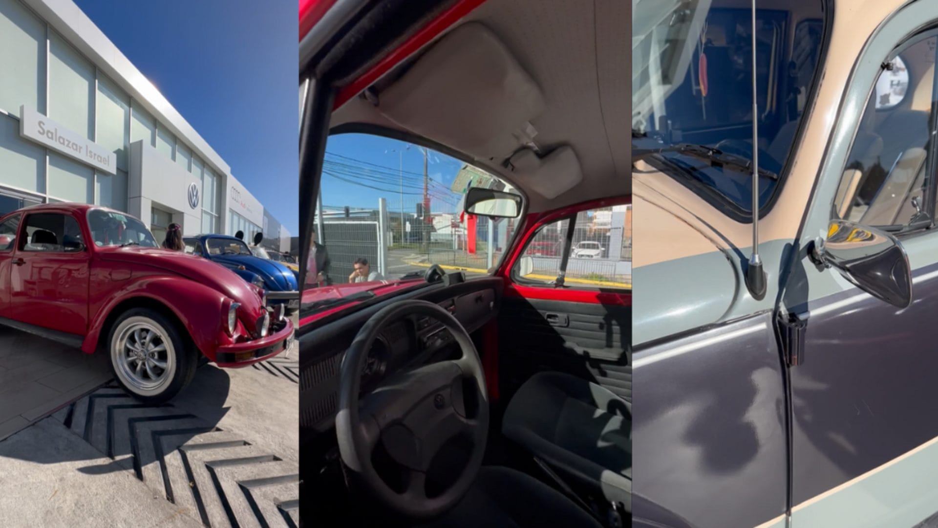 Muestra de autos clásicos de Volkswagen en Salazar Israel en Concepción: “El auto del pueblo”