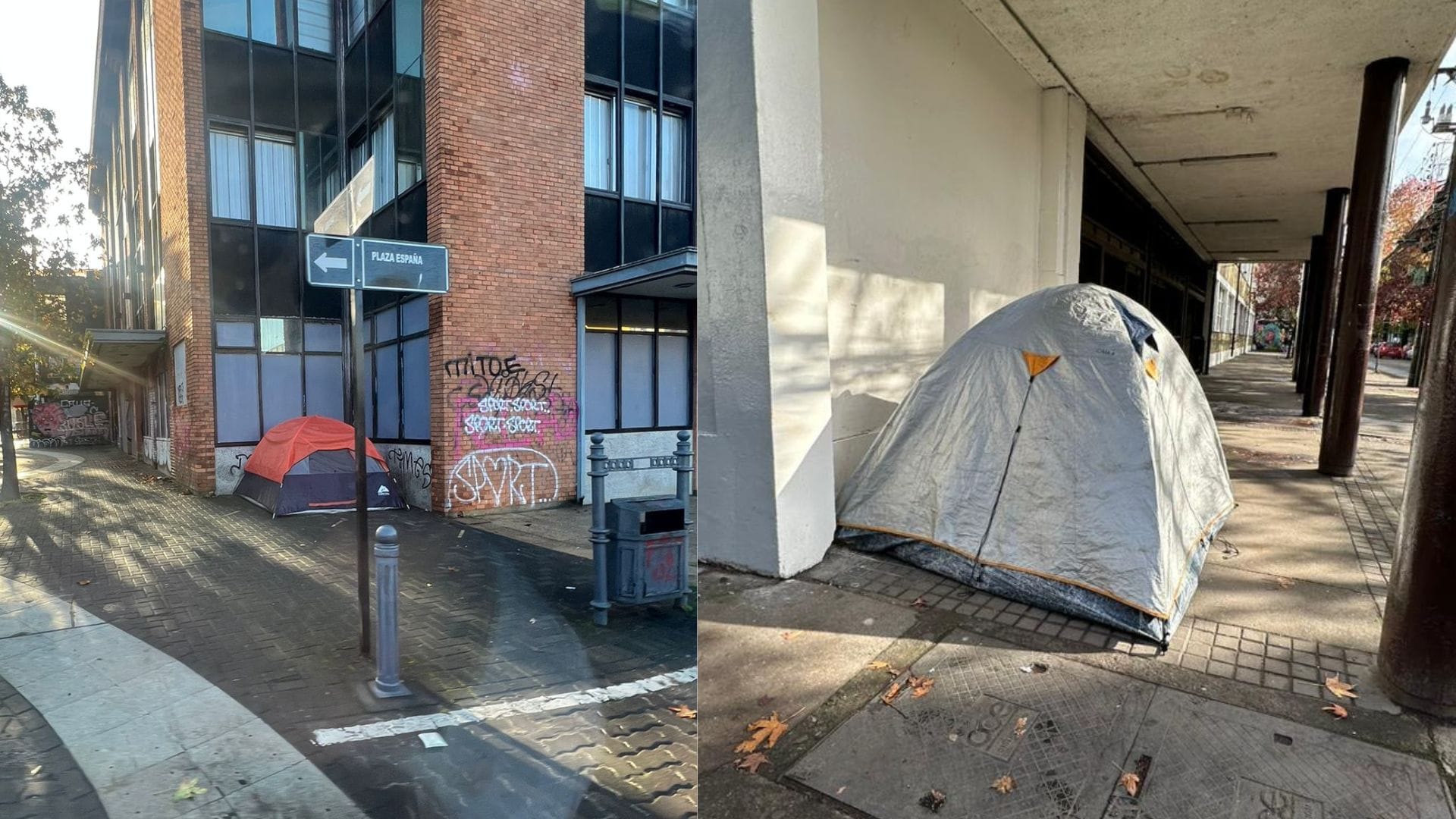 Aparecen nuevamente las carpas en el centro de Concepción