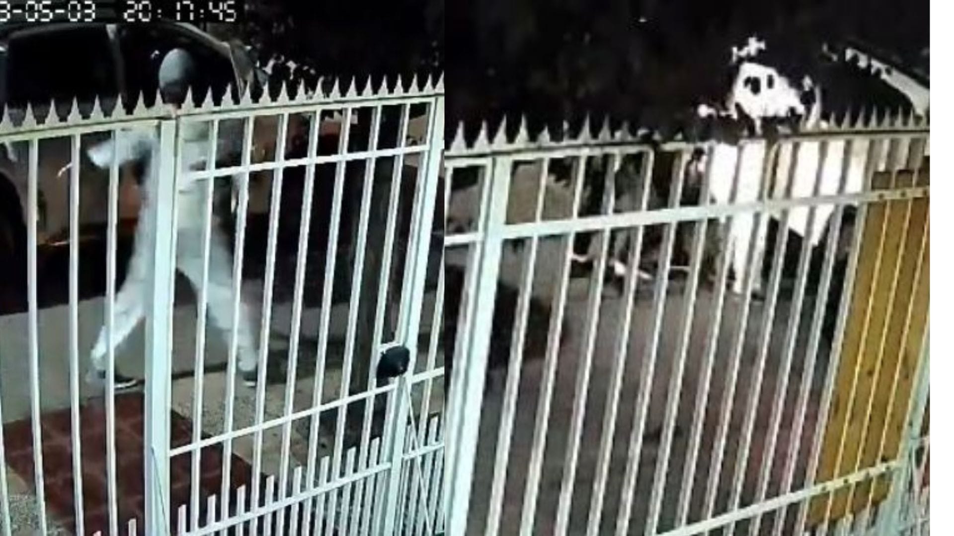 Carabinero de franco frustró a tiros portonazo en Quilicura: Afectó a su vecino y delincuentes dispararon al huir