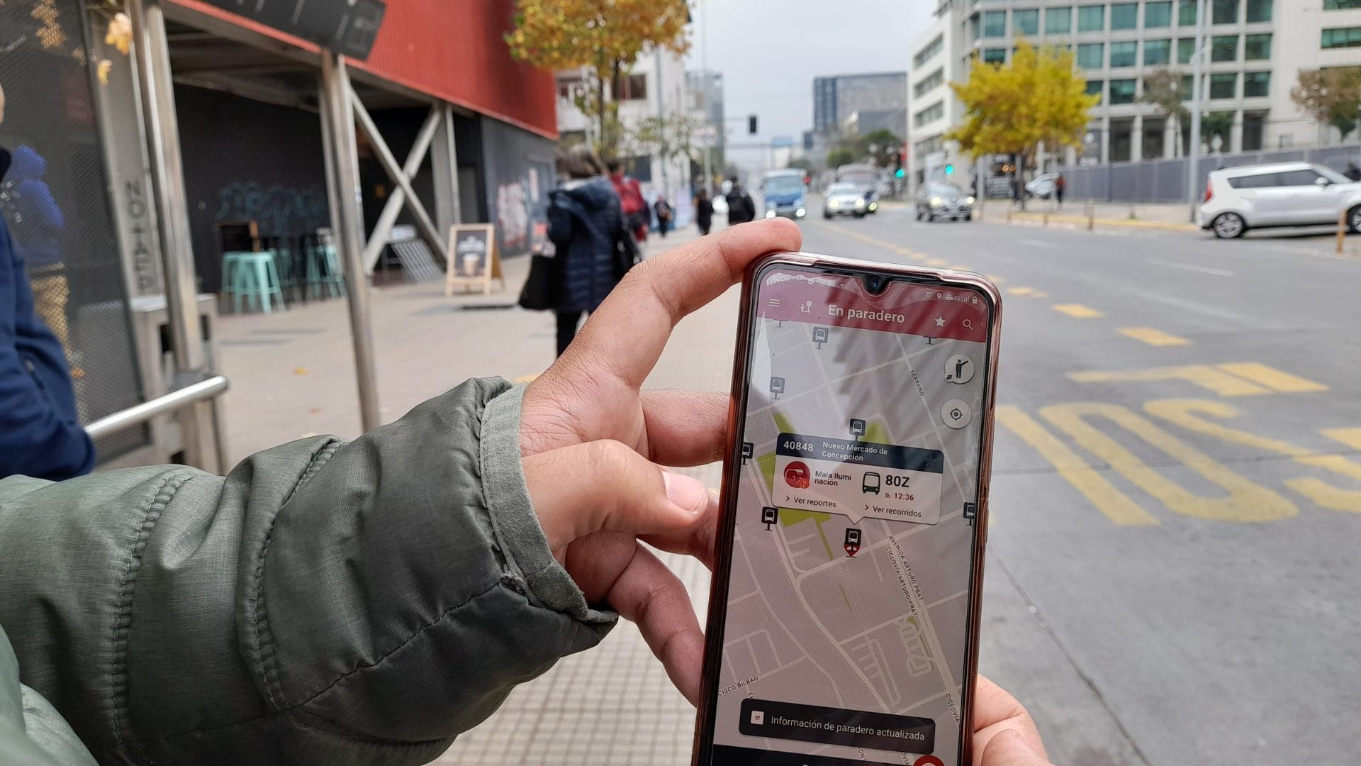 App RED ya tiene más de 25 mil descargas en el Gran Concepción