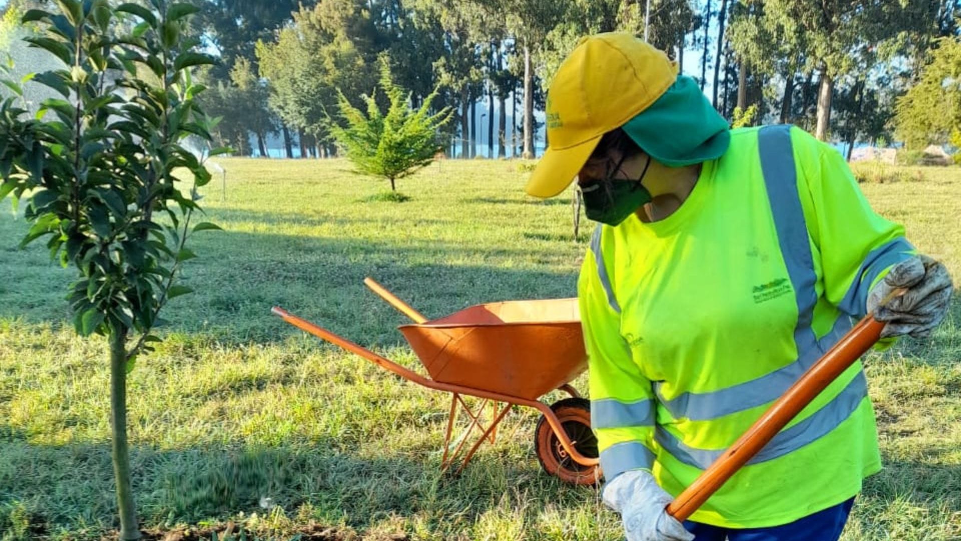 Empresa de ornato y Municipio de San Pedro dio termino anticipado del servicio: Trabajadores temen por su futuro