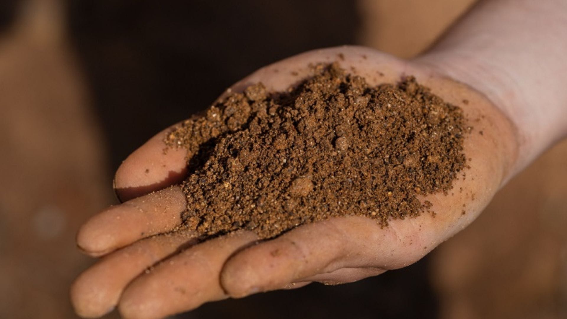 Aclara insistirá con nuevo Estudio de Impacto Ambiental tras decisión del SEA por “Tierras Raras”