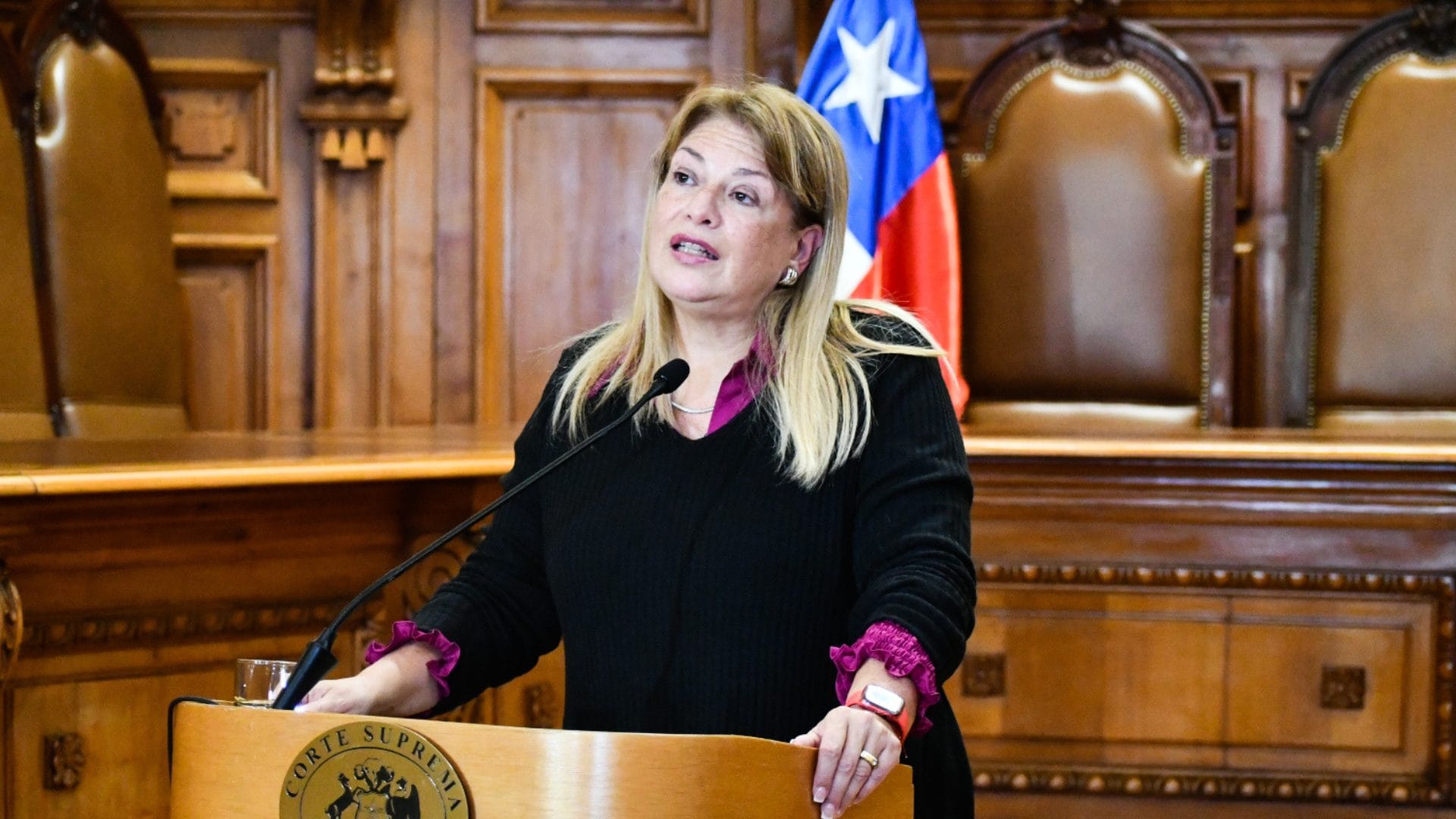 “Yo solo di mi visión”: Ministra Vivanco explicó sus dichos sobre fallo contra Isapres