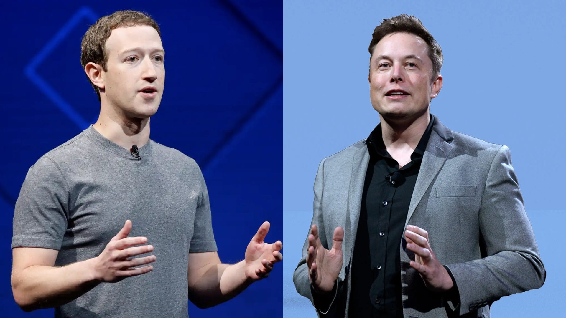 “La pelea más grande de la historia”: Elon Musk y Mark Zuckerberg aceptaron luchar en un octágono