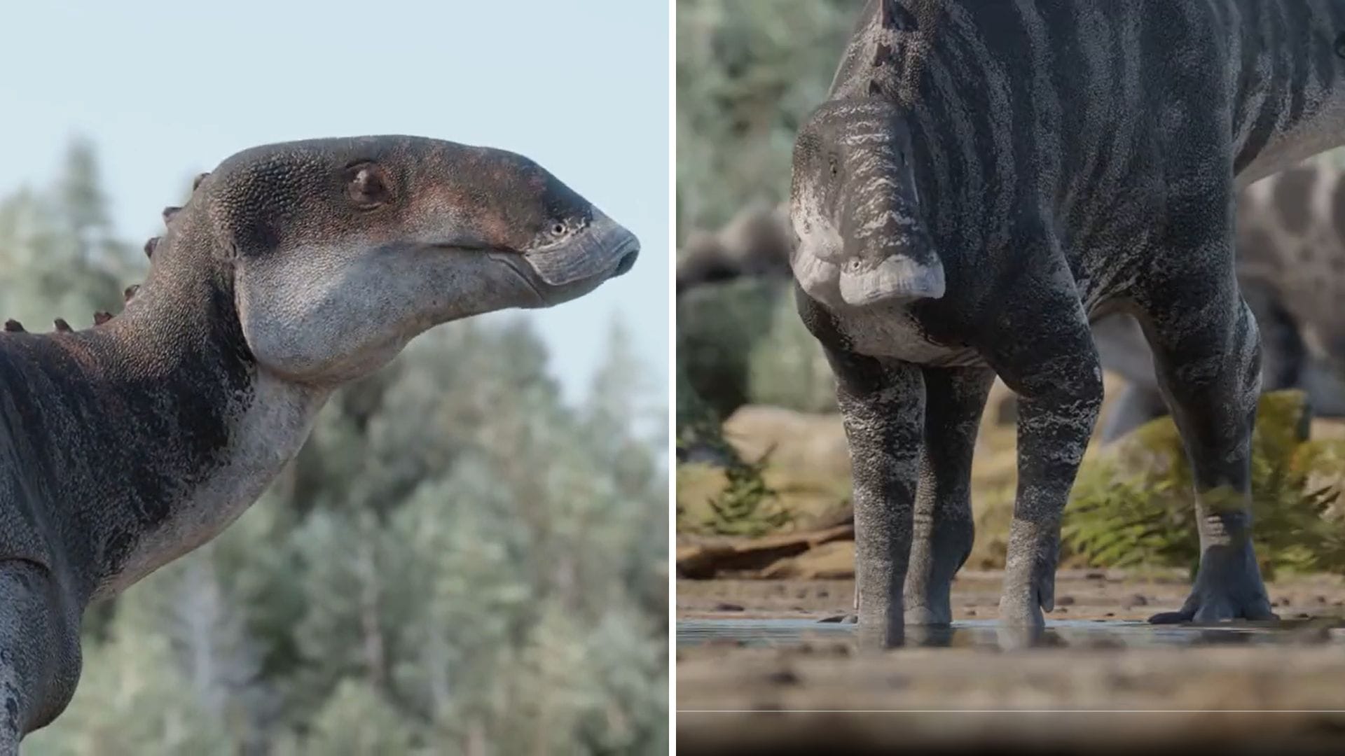 ¡Chile tiene nuevo dinosaurio! Descubren nueva especie con pico de pato que habitó la Patagonia