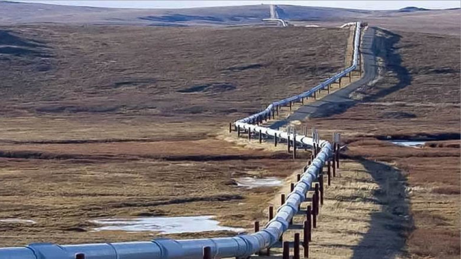 ENAP firma contrato con cuatro empresas internacionales para importación de crudo desde Argentina