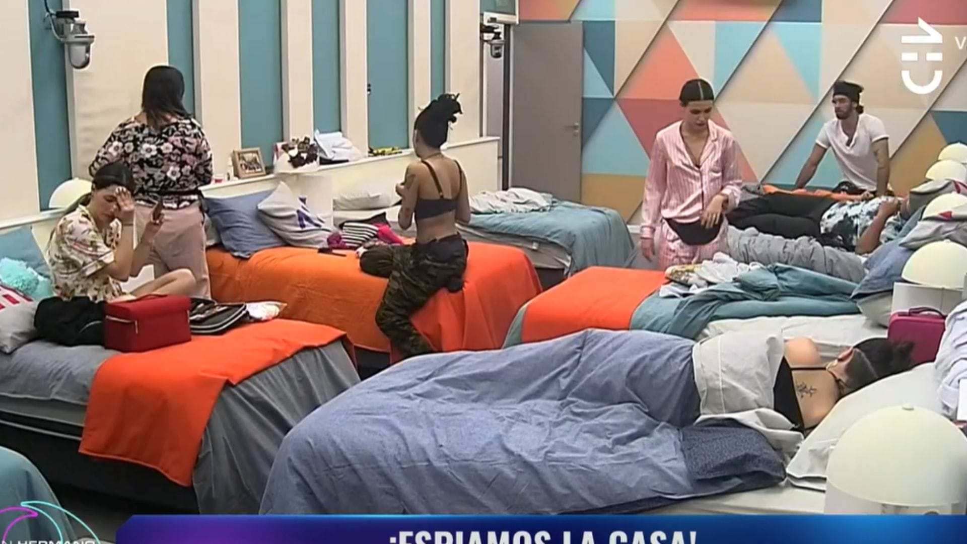 Gran Hermano Chile: Así es el protocolo para que los participantes puedan tener relaciones sexuales