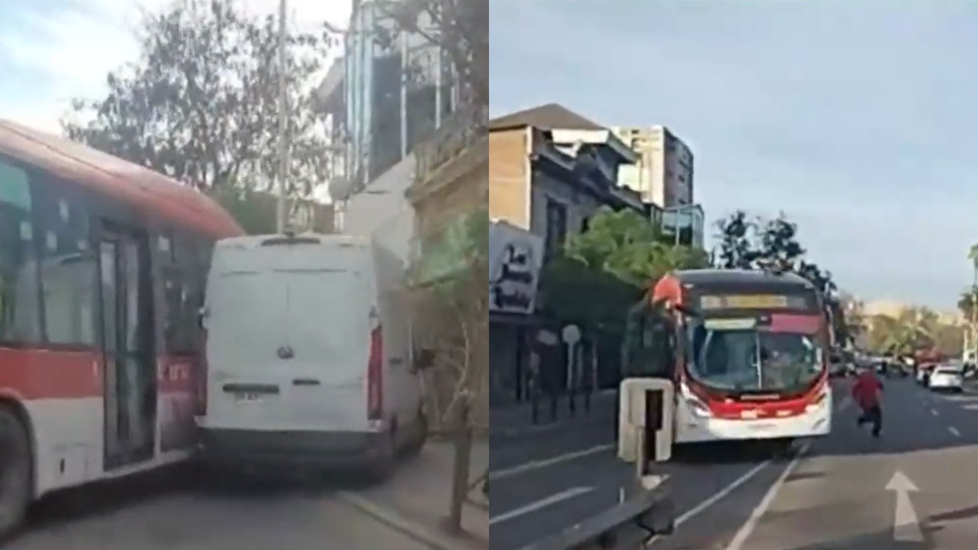Derribó un árbol y chocó a vehículos: Captan irresponsable actuar de conductor de bus del transporte público en Recoleta