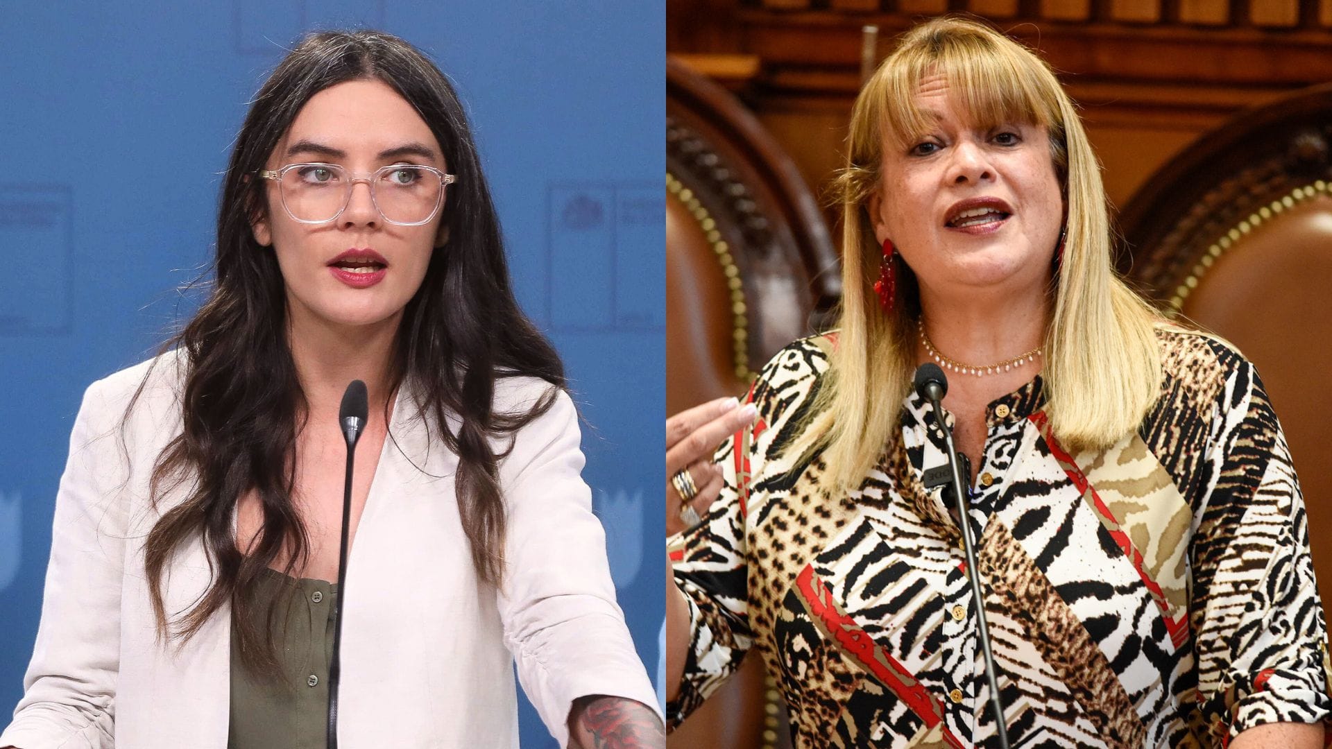 “Cambia totalmente el escenario”: Gobierno pide aclaración por dichos sobre fallo contra las Isapres de Ángela Vivanco