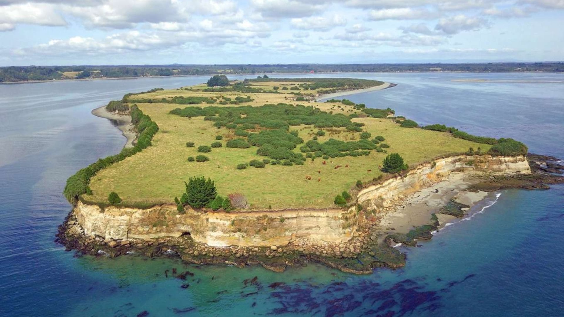 Venta de isla en Chiloé causó gran controversia: Valor supera los 3 millones de dólares
