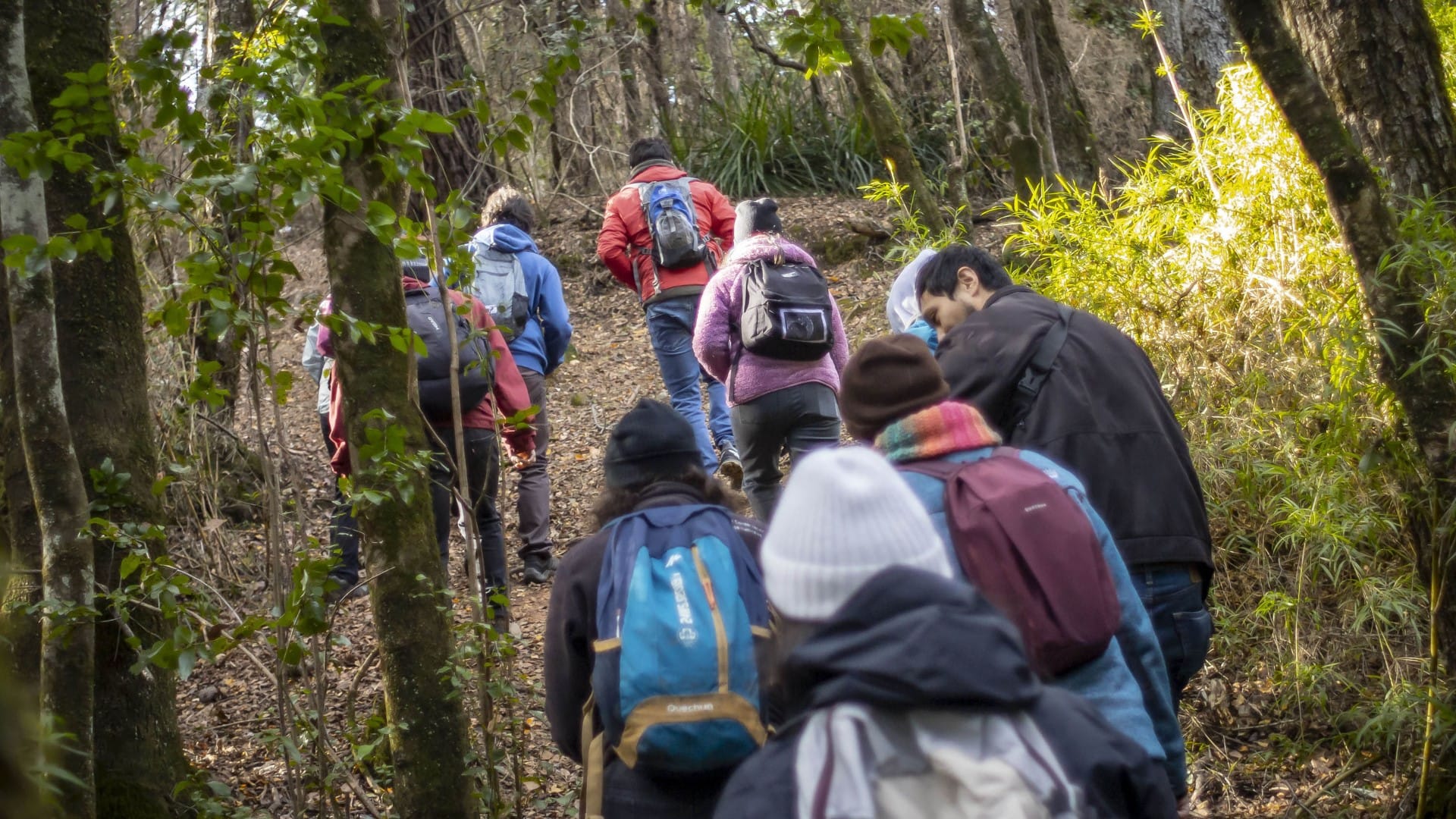 Comienzan visitas guiadas a vestigios del Bosque Caducifolio de Concepción: Campus Naturaleza UdeC