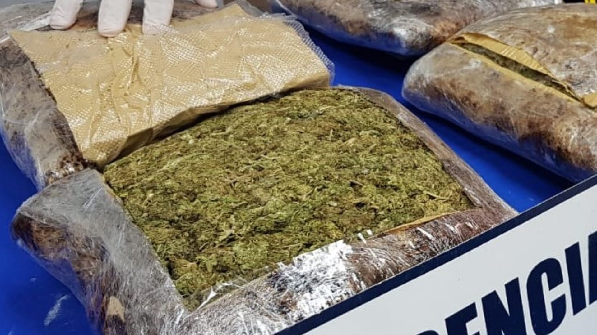 Sorprenden a 2 hombres y una mujer que traían más de 15 kilos de marihuana hacia Concepción