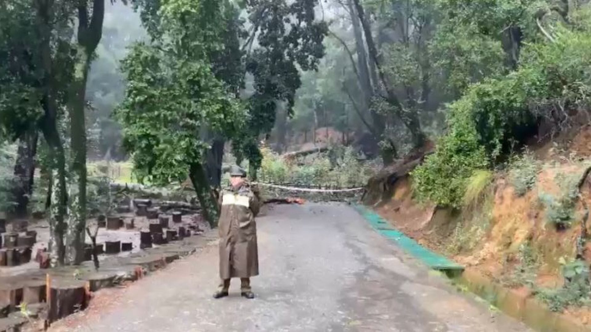 Confirman que fallecido tras caída de árbol en Concepción era trabajador del Parque Cerro Caracol