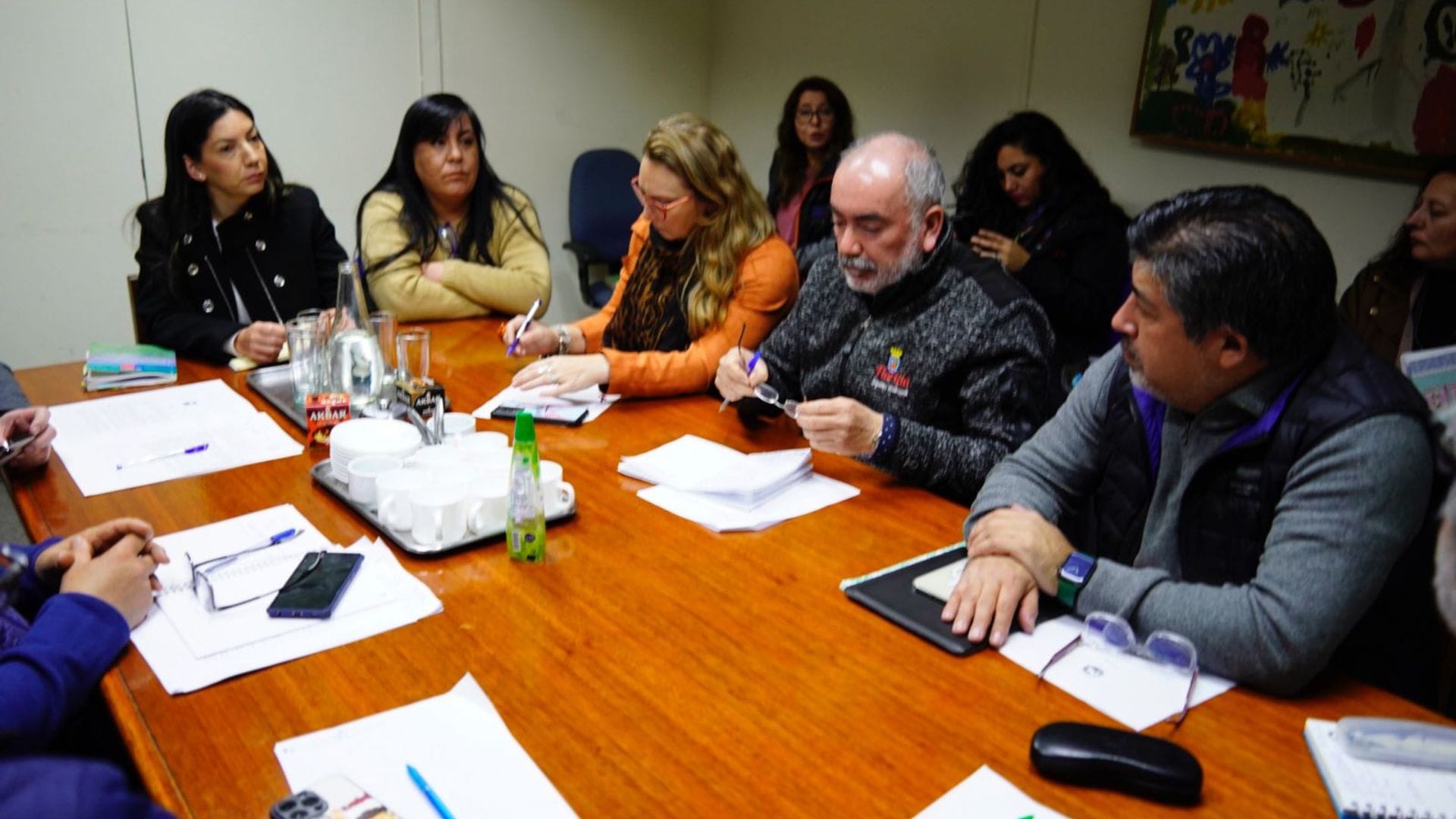 Alcaldes del Biobío piden al SEA alargar la vida útil de Hidronor y Cemarc
