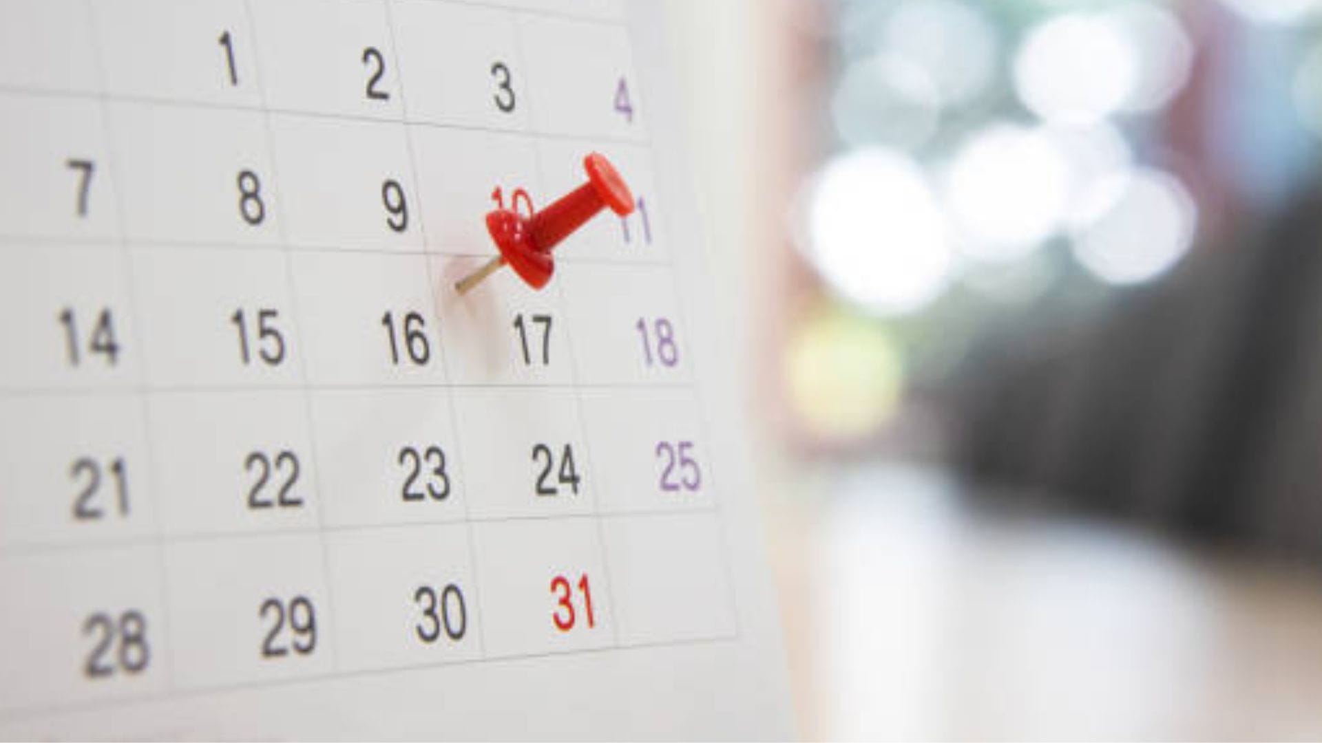 Las propuestas para el feriado regional del Biobío