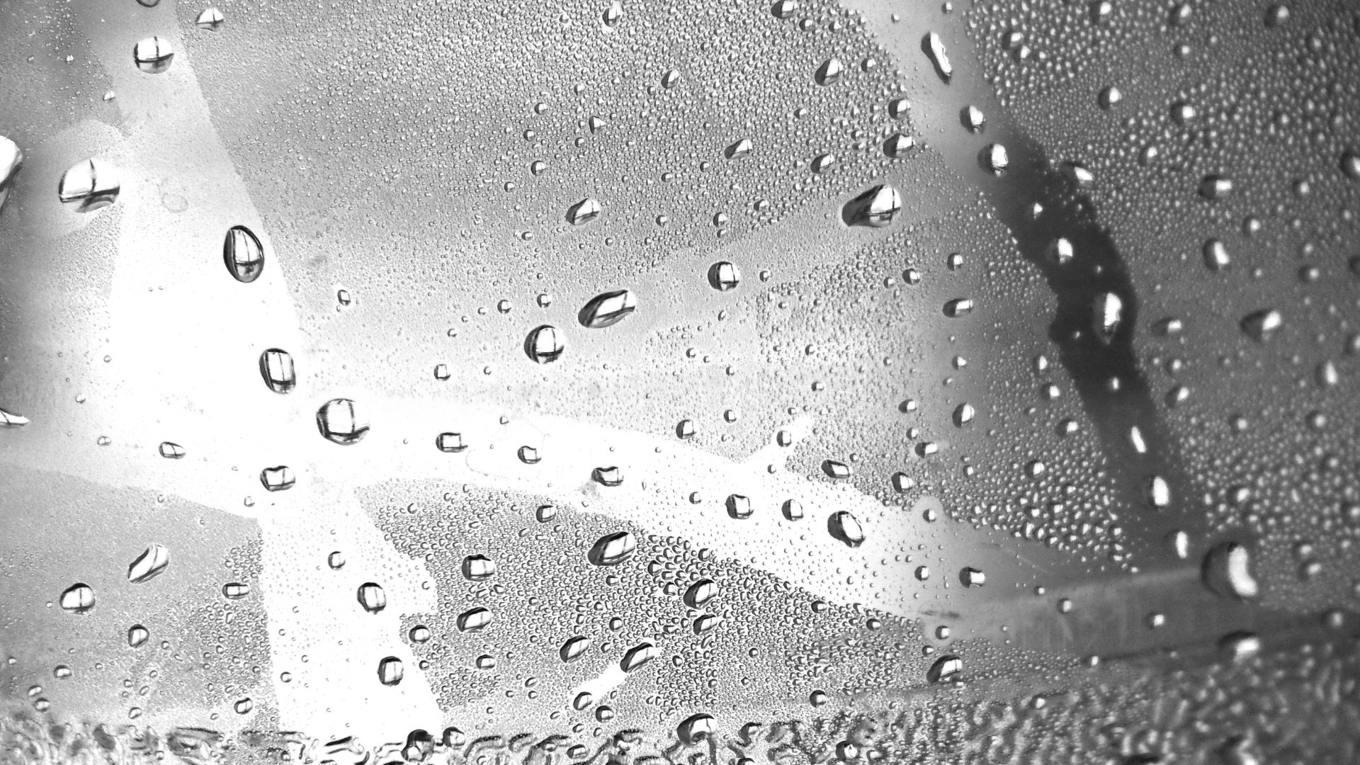 ¿Calor o frío? Estos son los cuatro errores más frecuentes al desempañar los vidrios de un vehículo