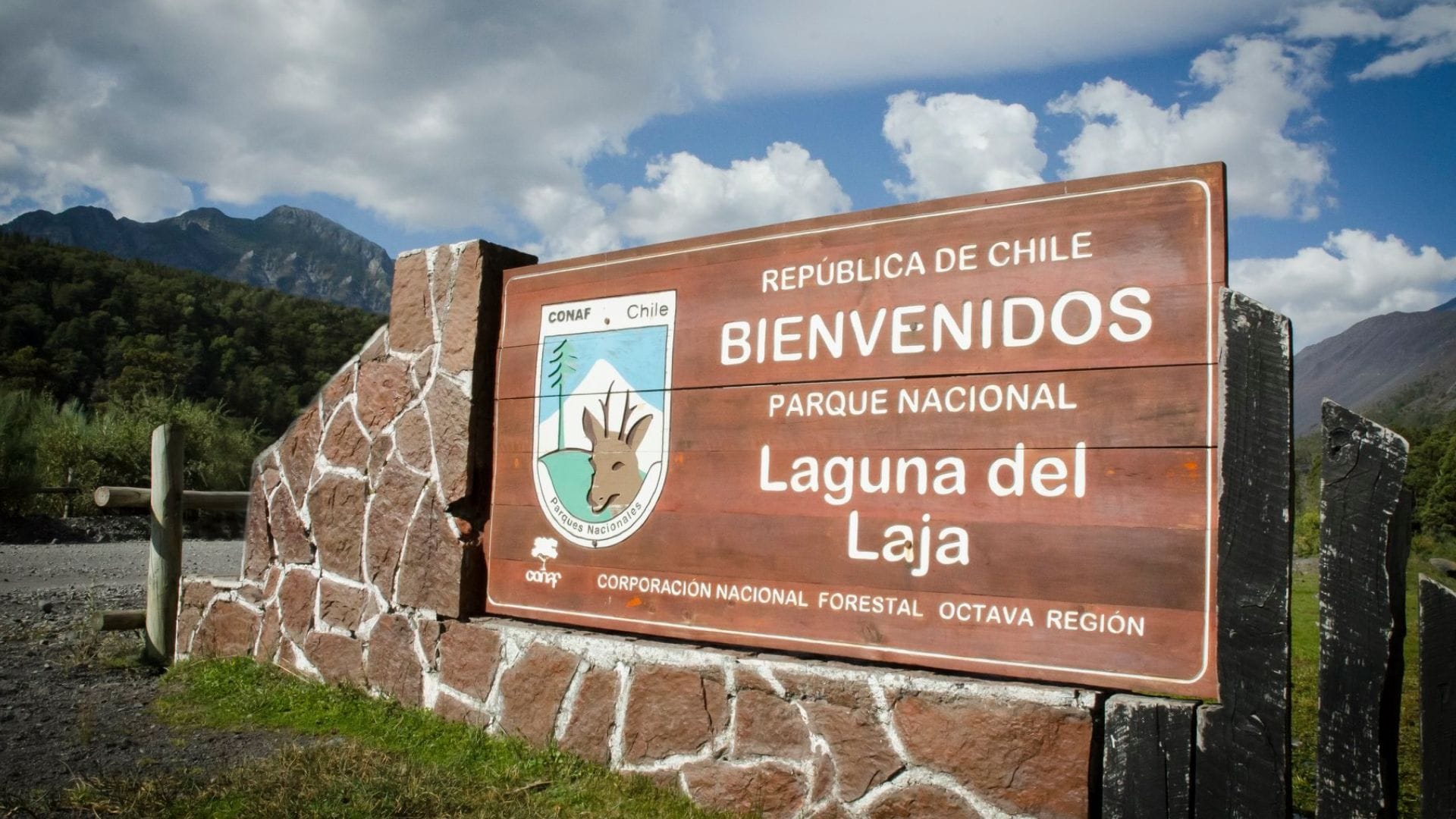 Conaf anuncia cierre preventivo de parques nacionales Nonguén y Laguna del Laja por frente del mal tiempo