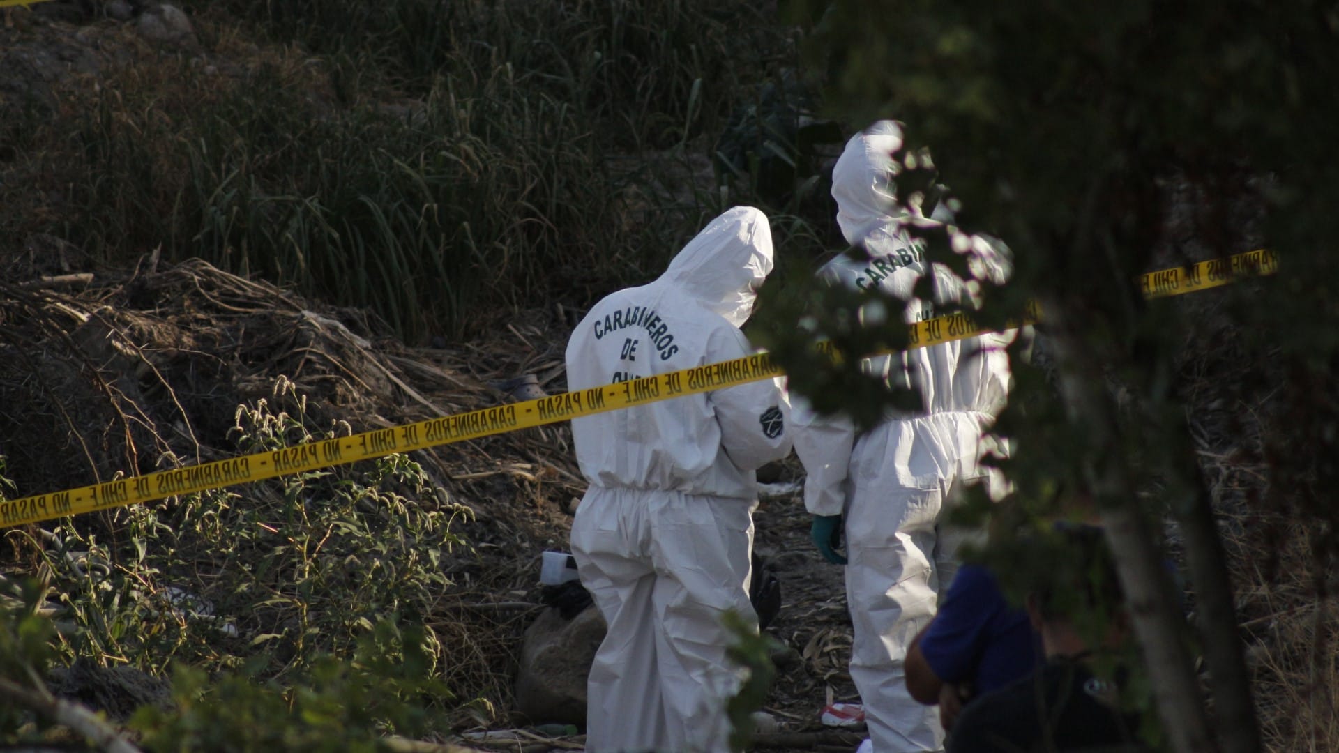 Encuentran a persona sin vida en sector camino a Chome de Hualpén: Estaría decapitada