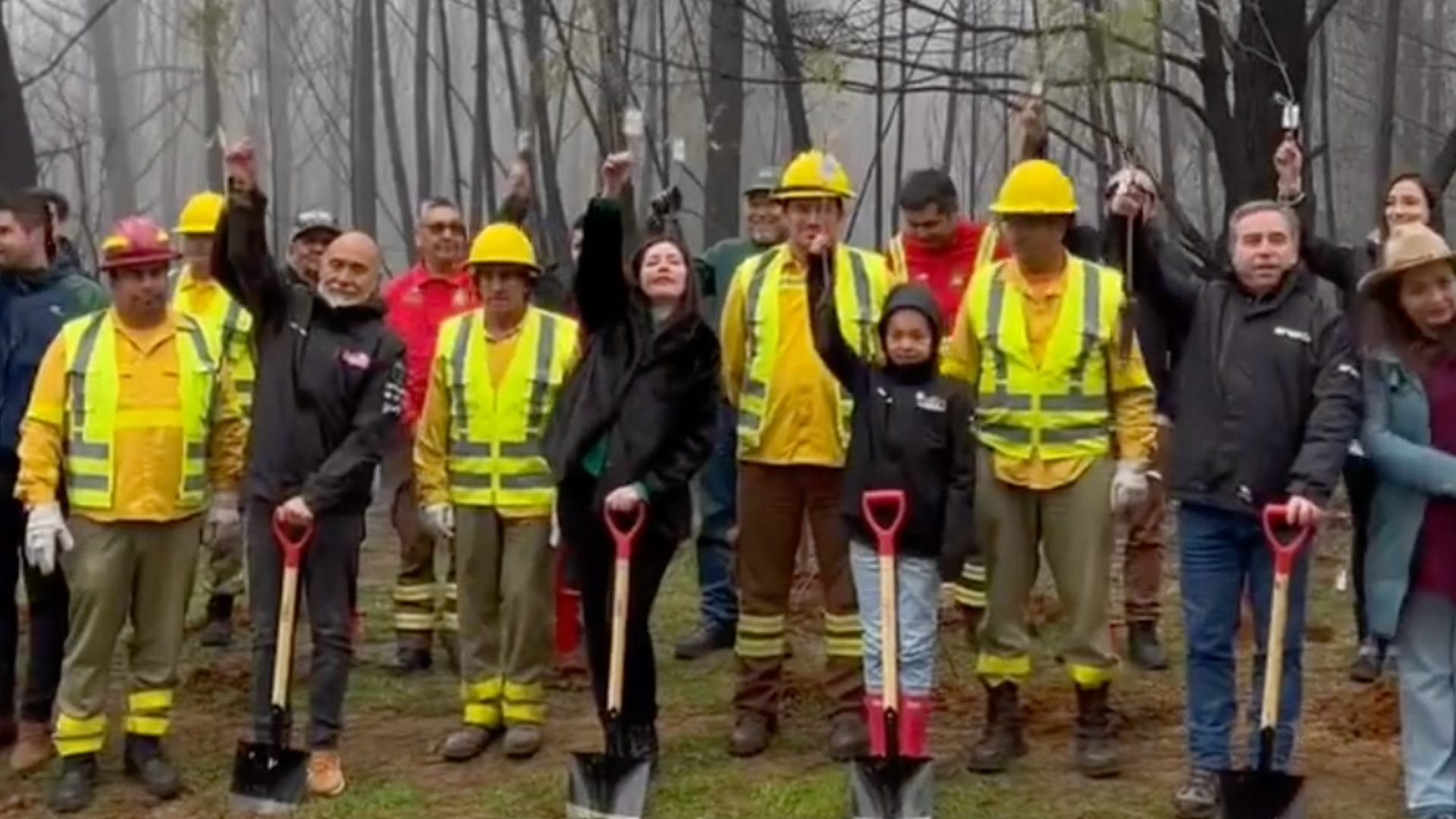 Como actividad del Copec Rally Mobil: Plantan mil árboles nativos en el Cerro Catirai de Santa Juana
