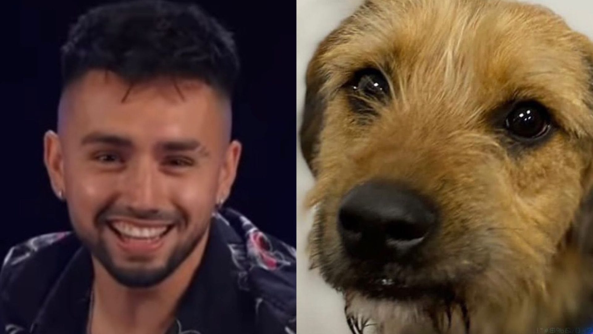 “¿Cómo se vería tu reality con un perro muerto?”: Bambino de “Gran Hermano” causó repudió tras comentarios contra “Bigote”