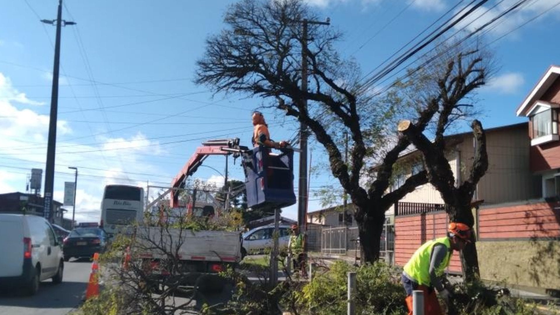 CGE realizó positivo balance de comportamiento del sistema eléctrico tras lluvias en Biobío y Ñuble