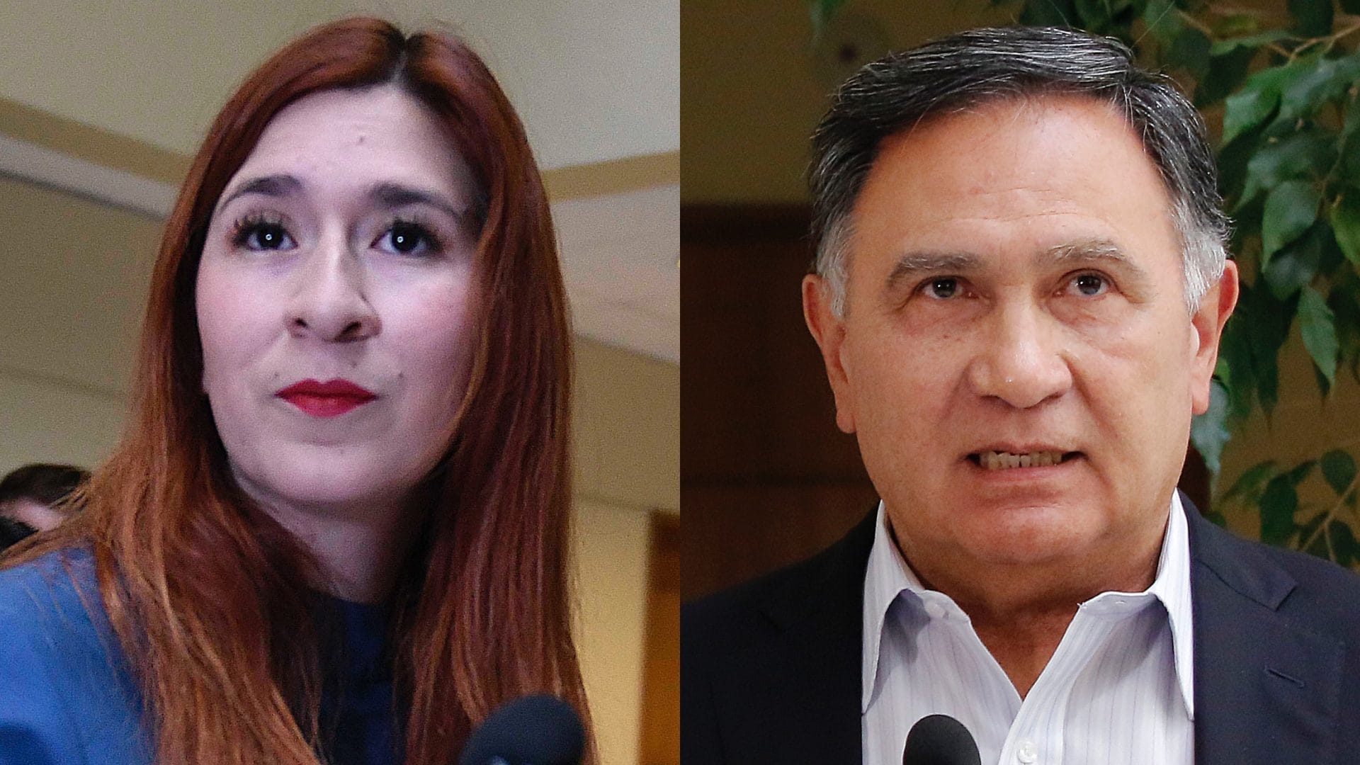 Aplican sanción máxima a diputados Catalina Pérez y Miguel Mellado