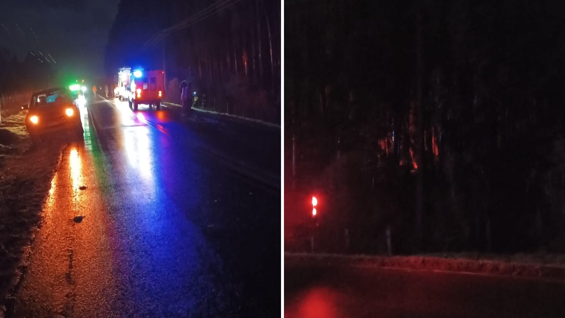 Región de Los Lagos: Helicóptero capotó estrepitosamente en San Juan de la Costa