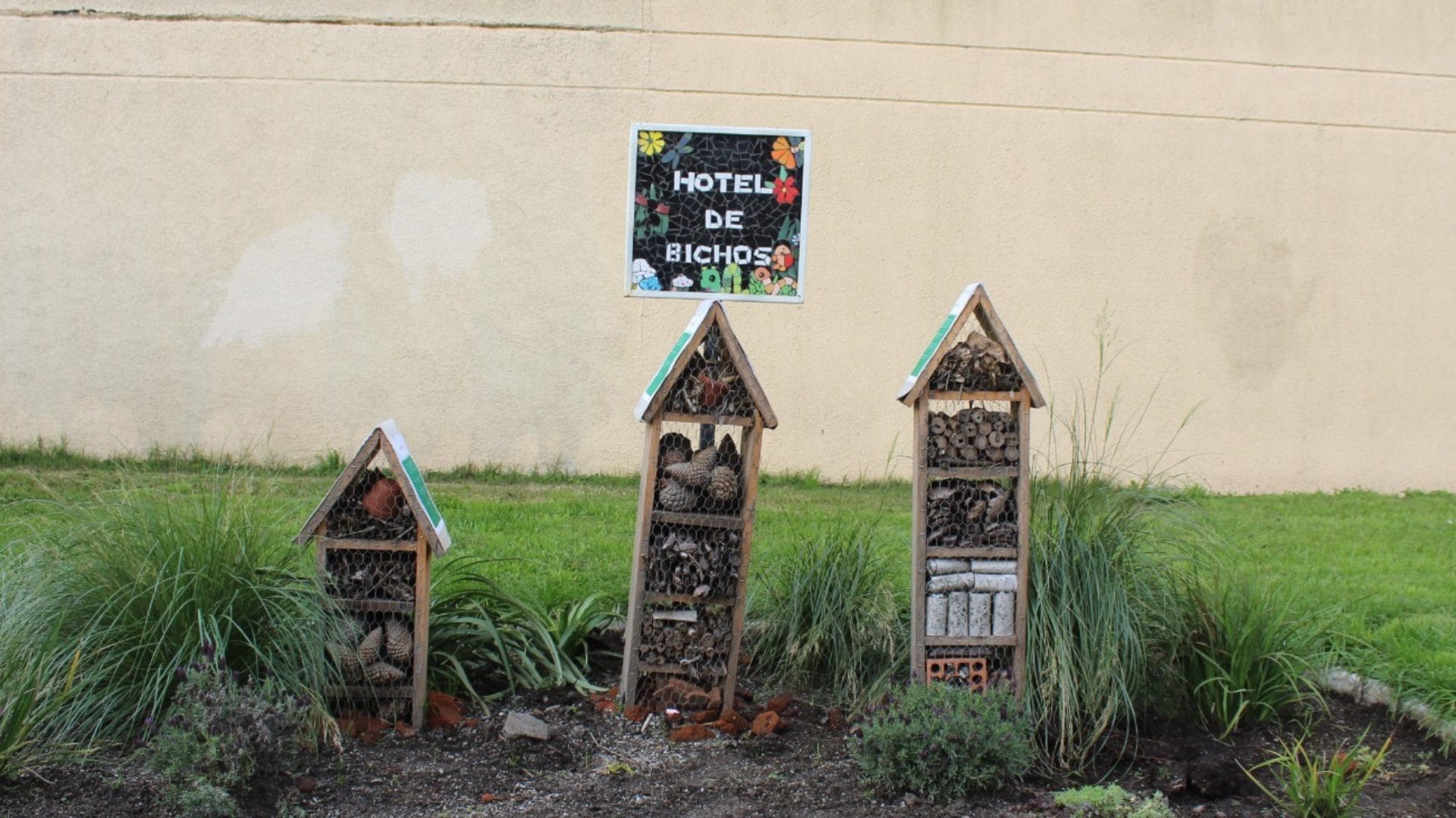 Quiero Mi Barrio instala el primer Hotel de Bichos de Talcahuano en sector Villa Paraíso
