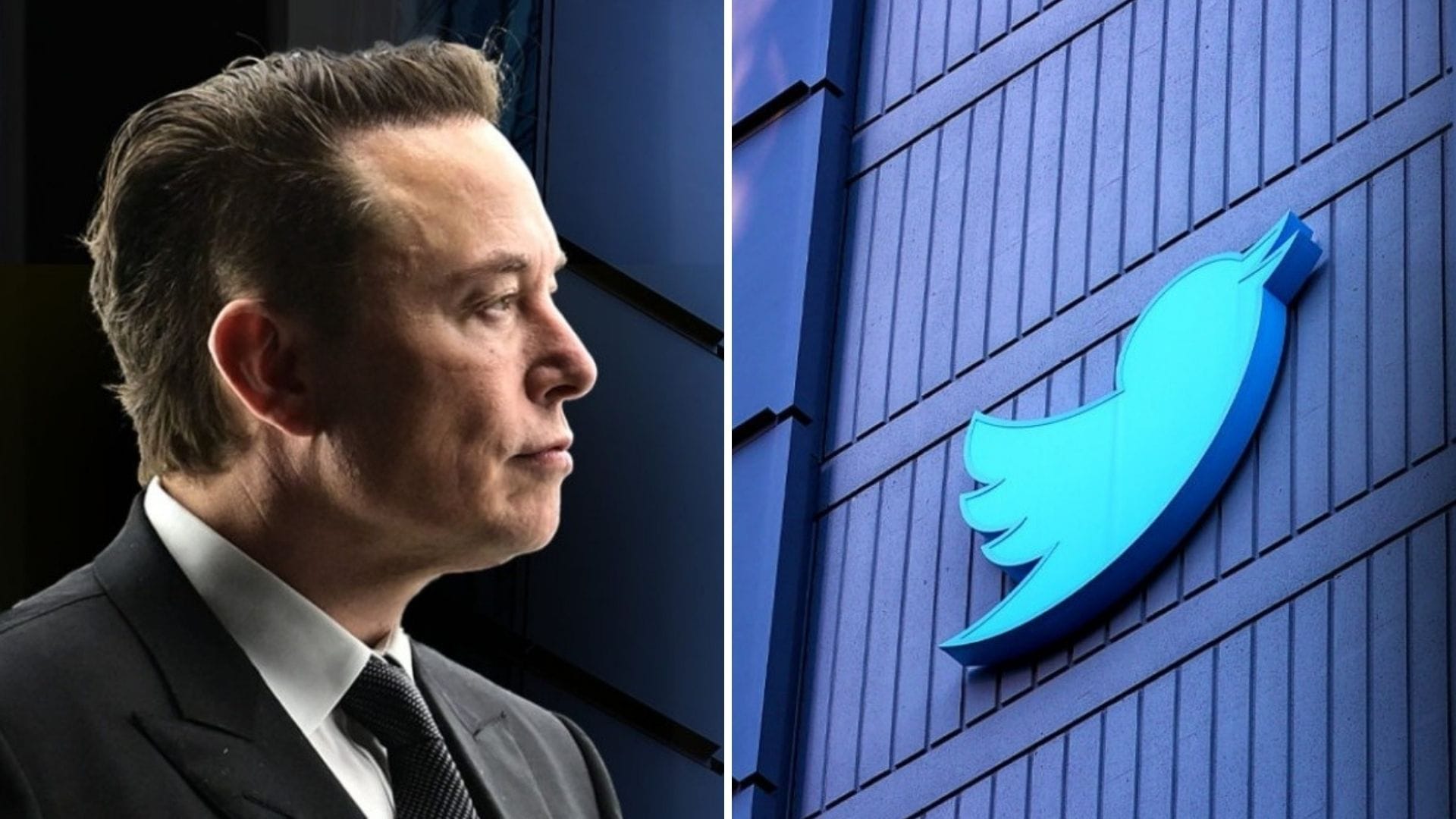 “Cambia Twitter cambia”: Elon Musk limita la cantidad de publicaciones que se pueden leer al día