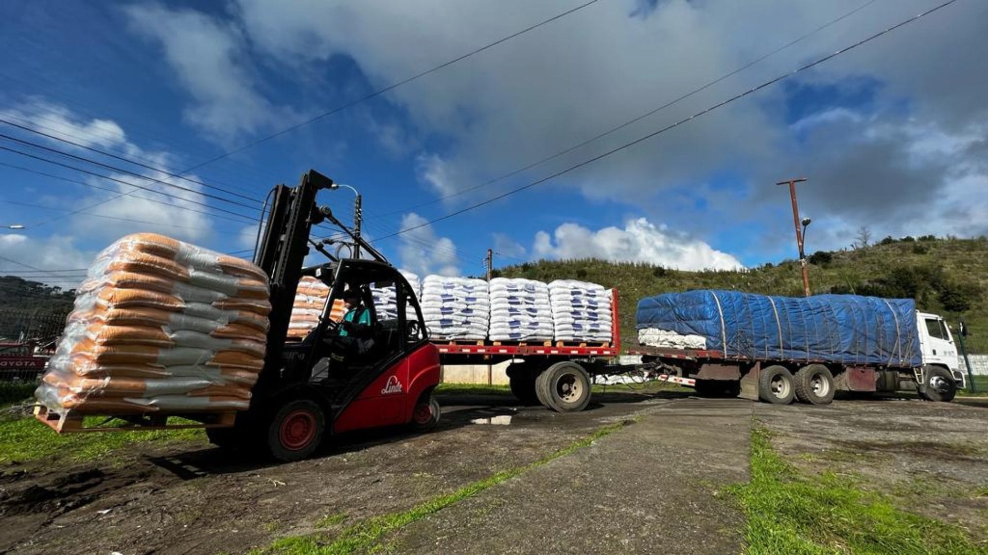 Ayuda para agricultores de Arauco: recibirán 1.200 sacos de alimento para animales