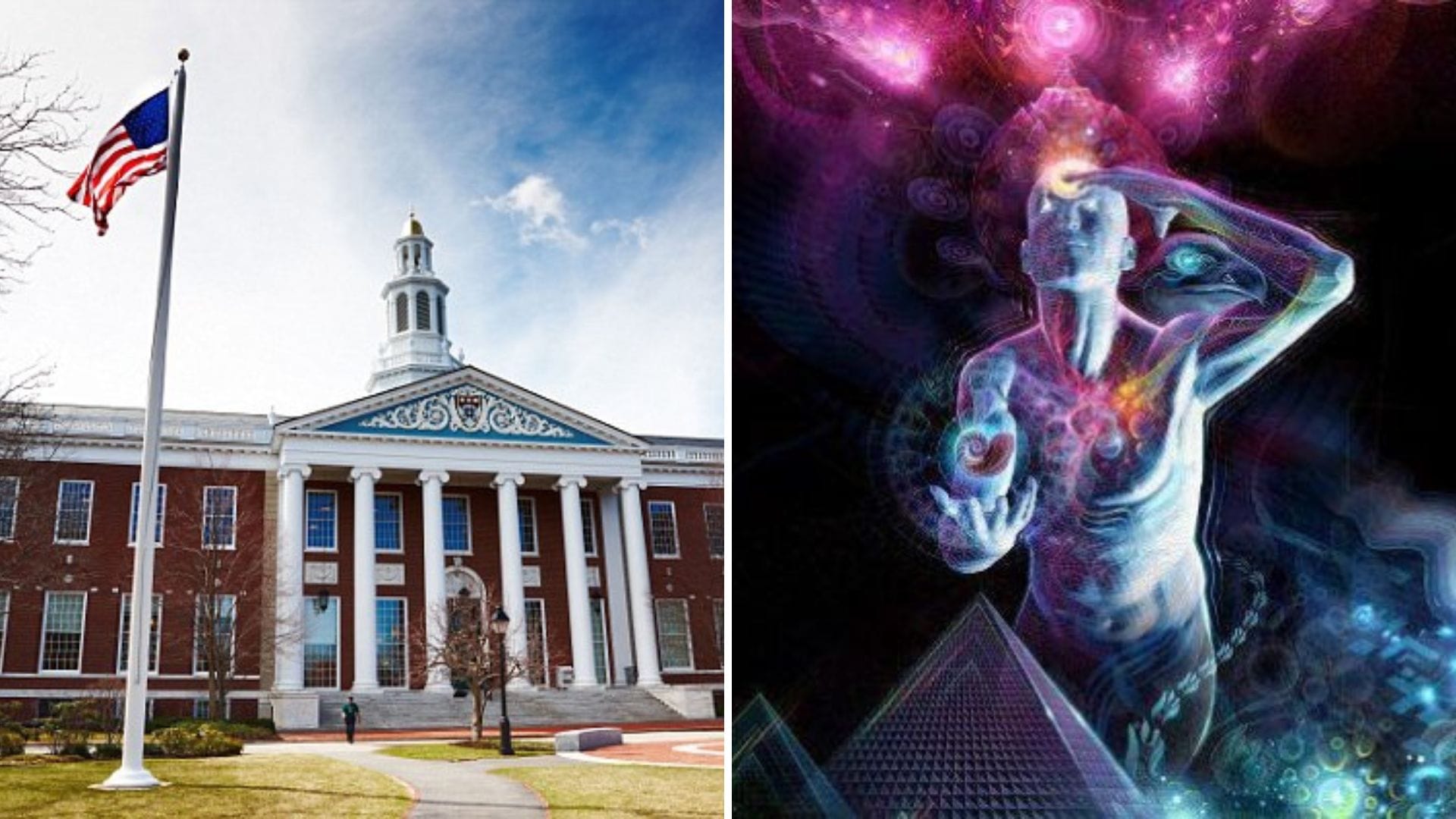 Las 5 películas que la Universidad de Harvard recomienda para expandir la mente