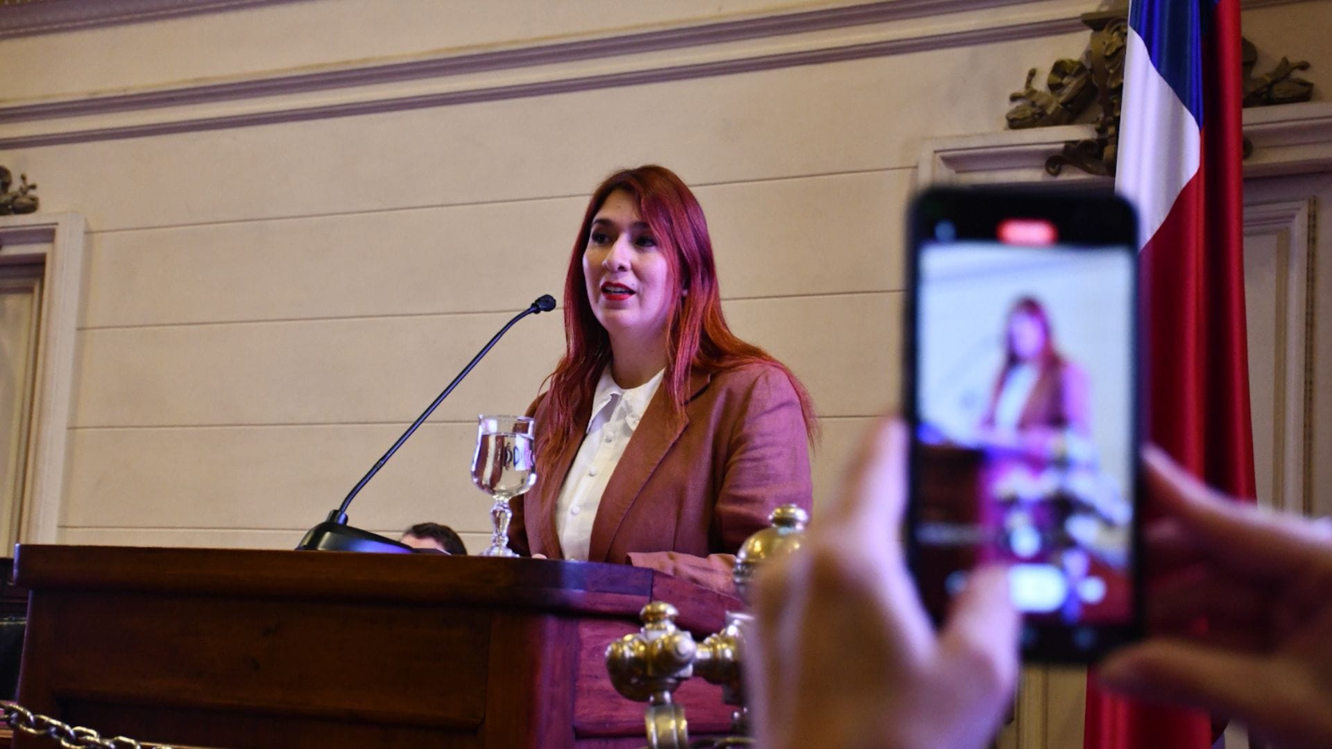 Catalina Pérez presentó licencia médica tras caso Democracia Viva: Se ausentará esta semana en el Congreso