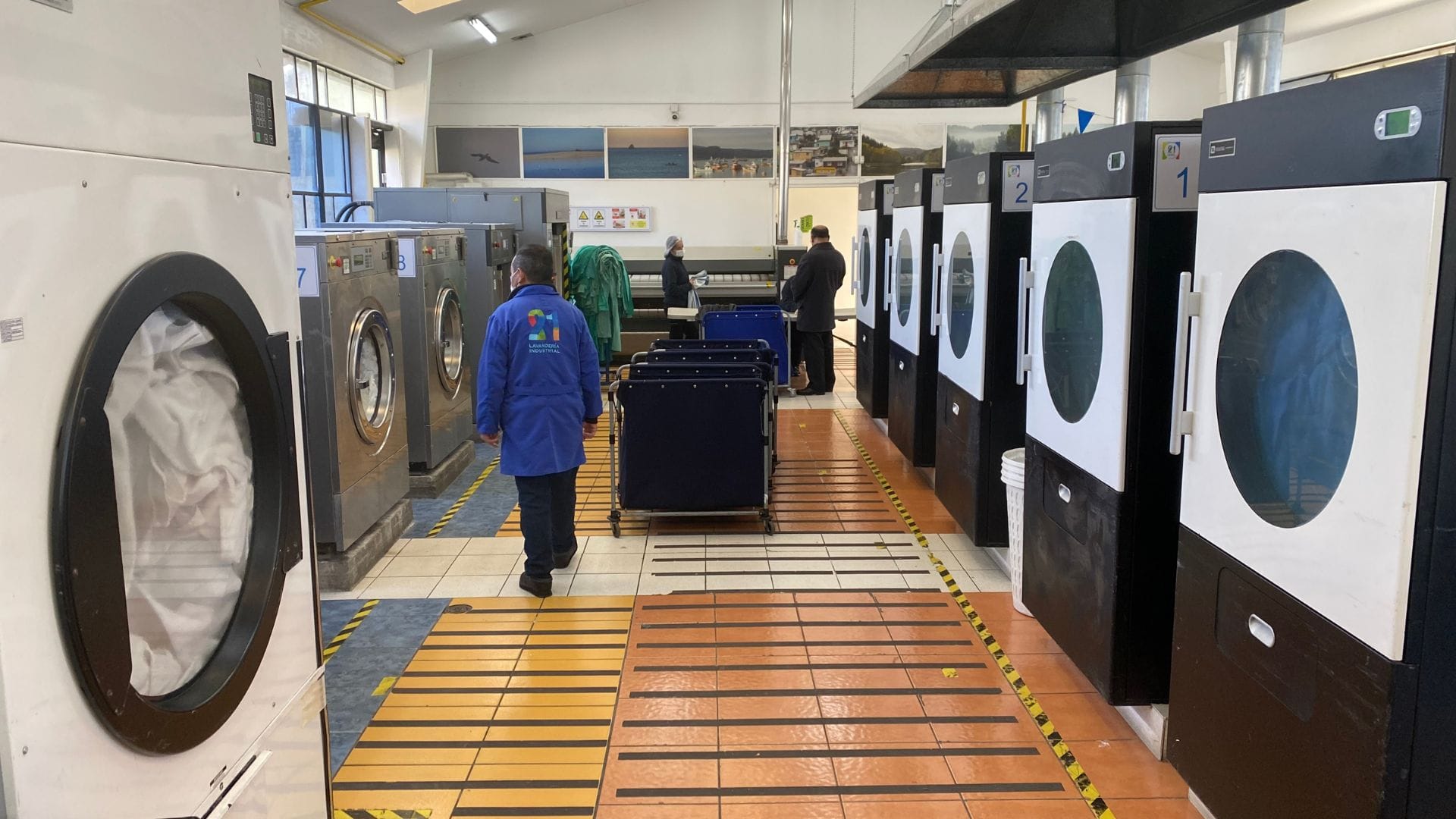 Lavandería 21 de Concepción: El espacio inclusivo que lleva casi una década ofreciendo empleos a jóvenes Down