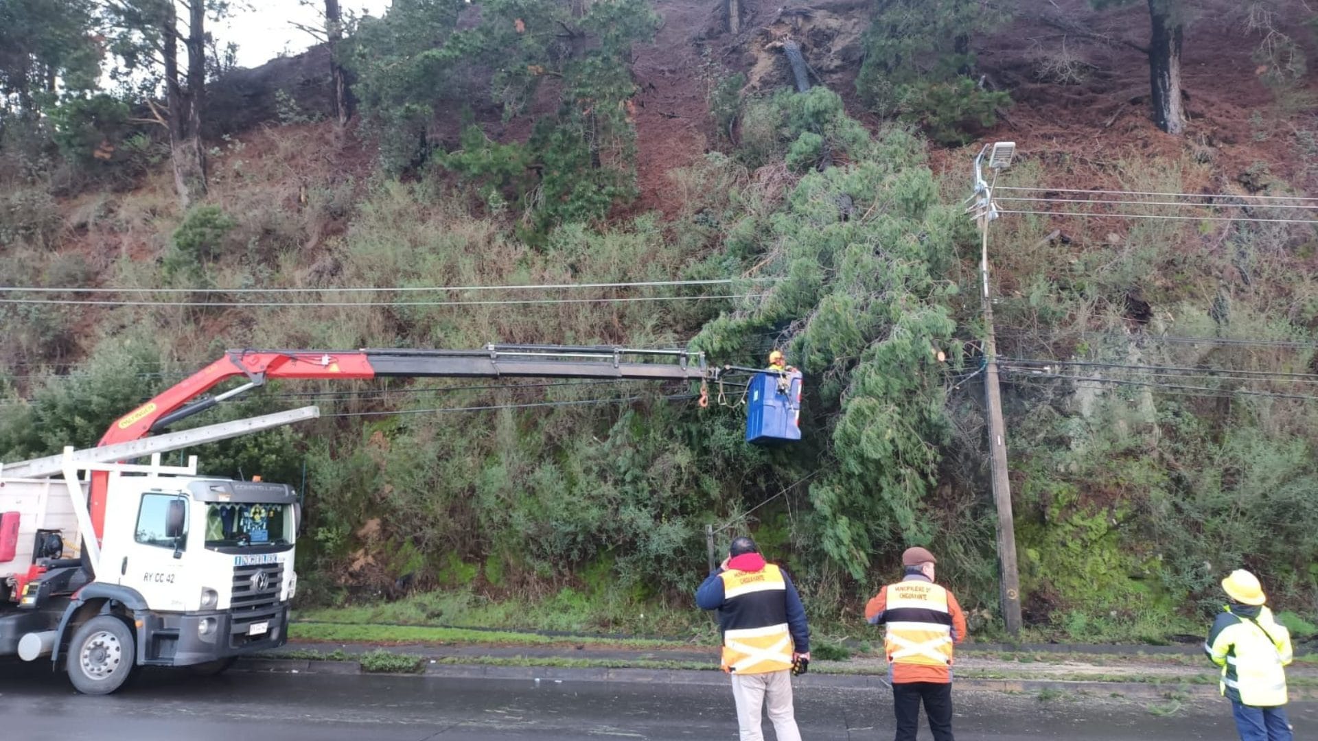 Ruta Chiguayante – Concepción fue cerrada tras caída de un árbol