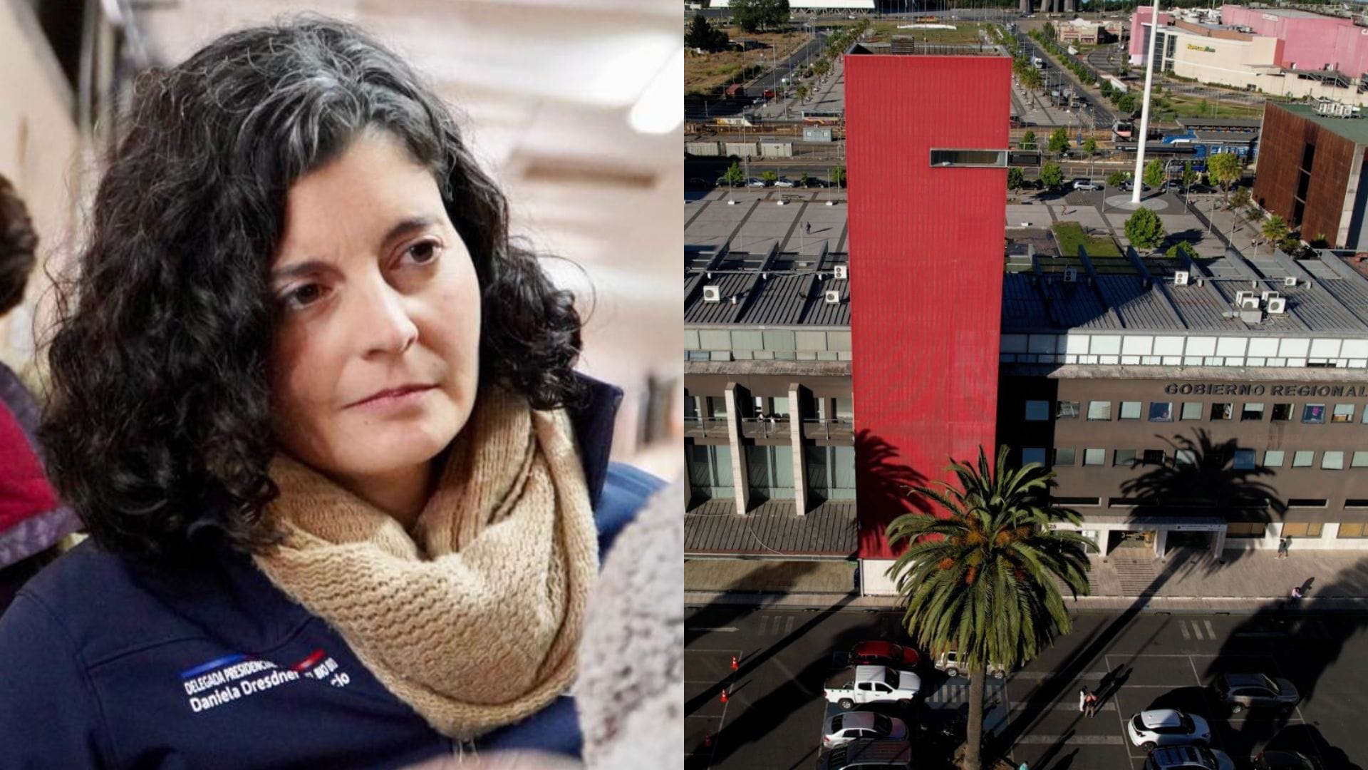 “Es un problema institucional”: Delegada Dresdner ante cuestionamientos a Gores por asignación de fondos